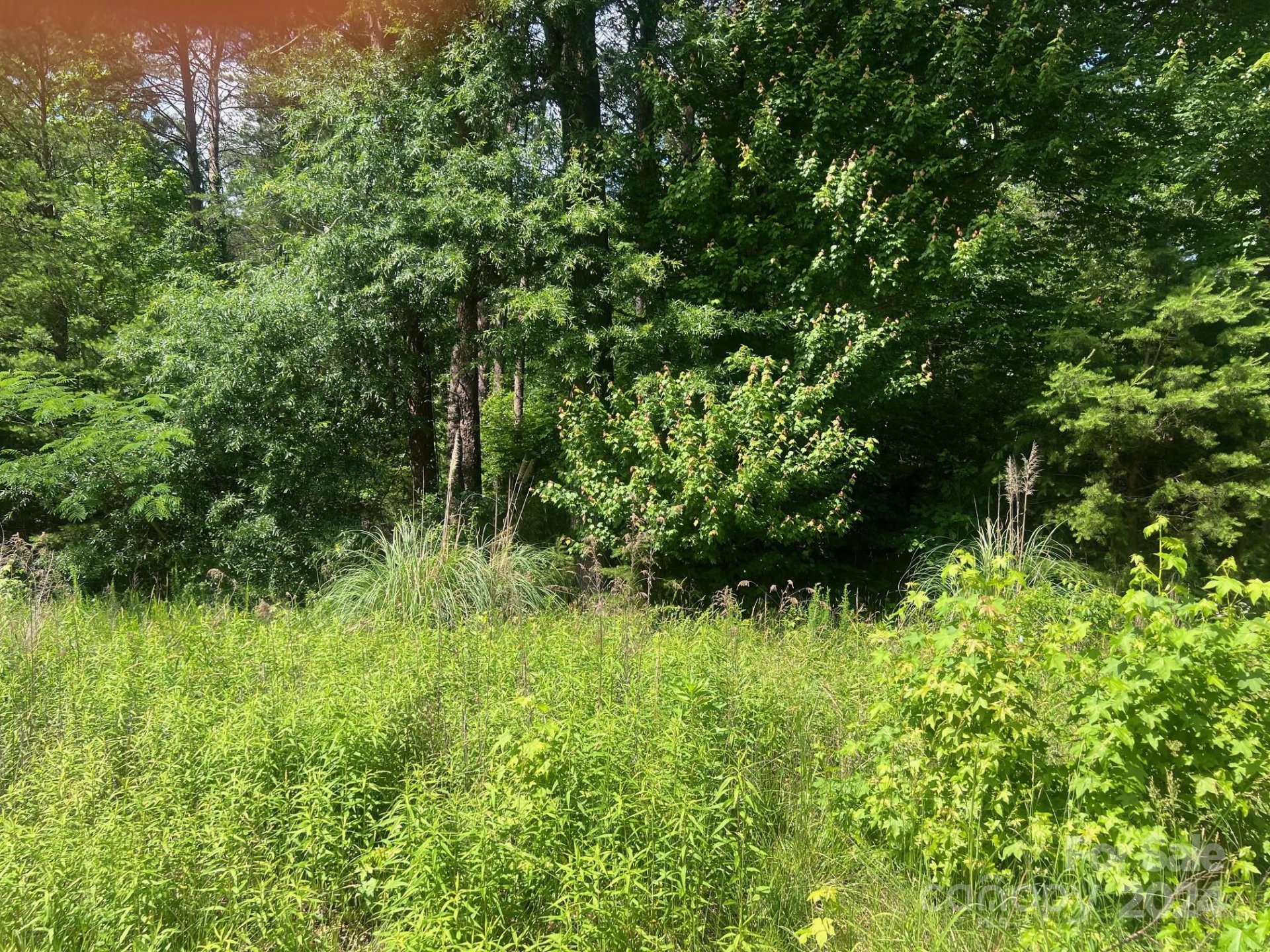 1420 Sherwood Road