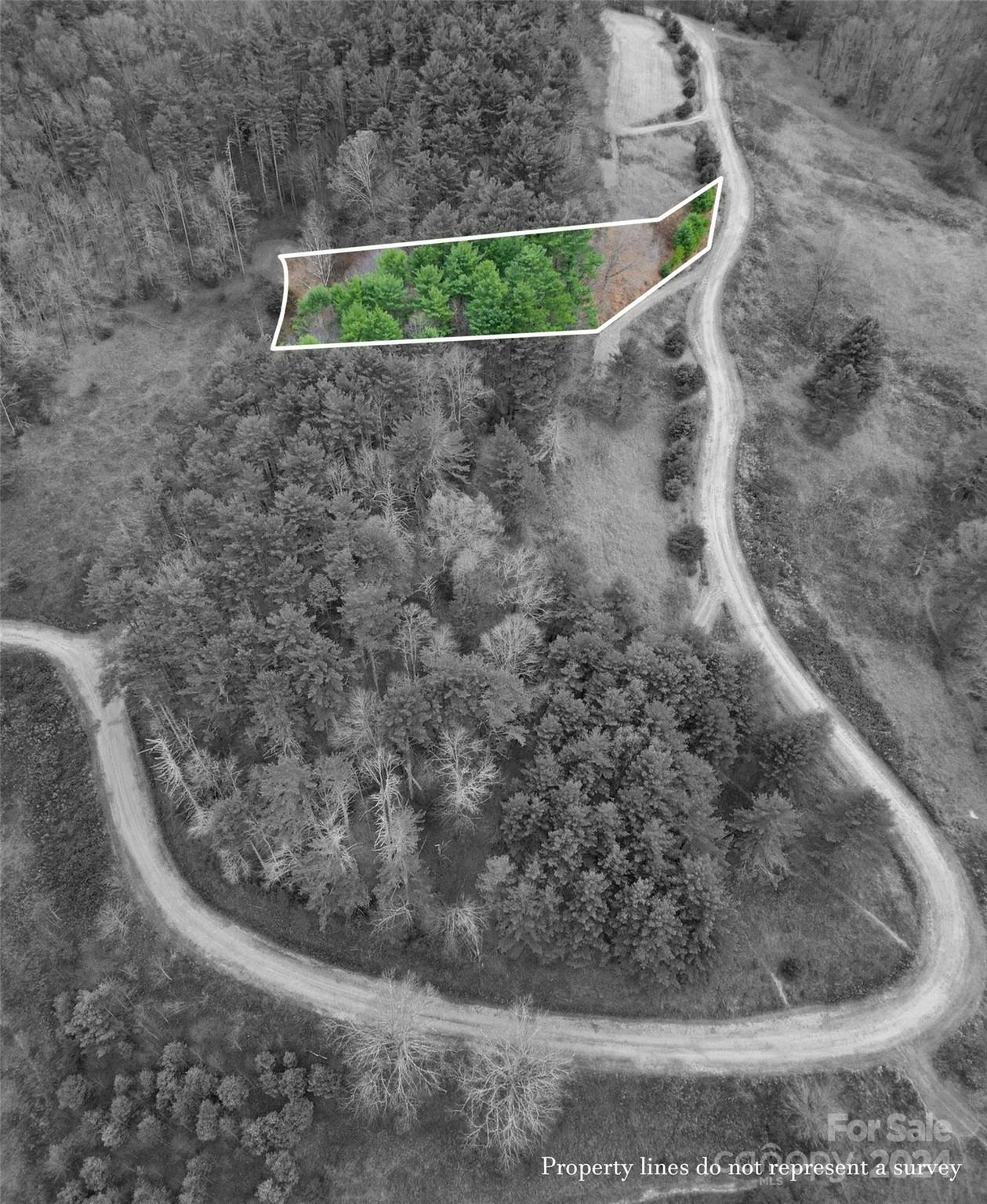Property image 3 at Lot 21 Dream Valley Drive, Clyde, NC 28721