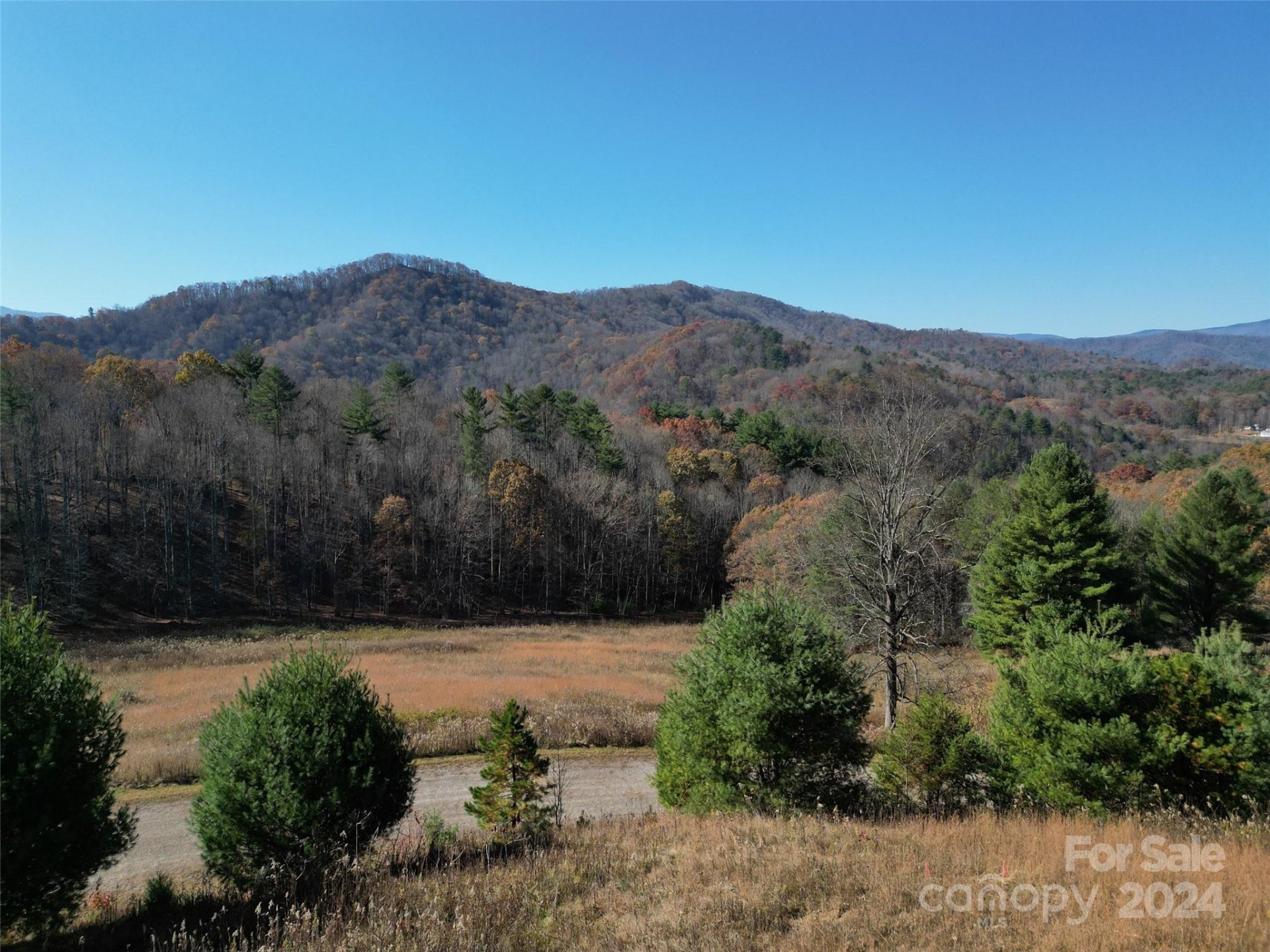 Property image 5 at Lot 21 Dream Valley Drive, Clyde, NC 28721