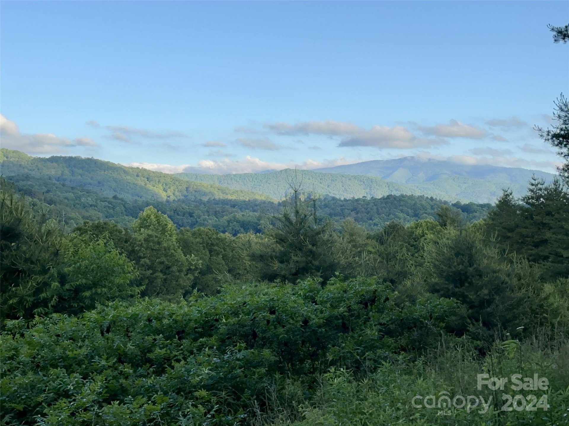 Property image 2 at Lot 22 Dream Valley Drive, Clyde, NC 28721