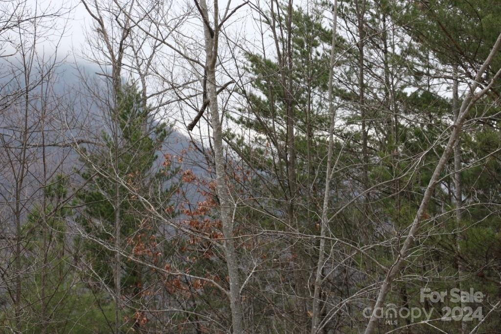 Property image 4 at 0000 Hawks Nest Trail, Lake Lure, NC 28746