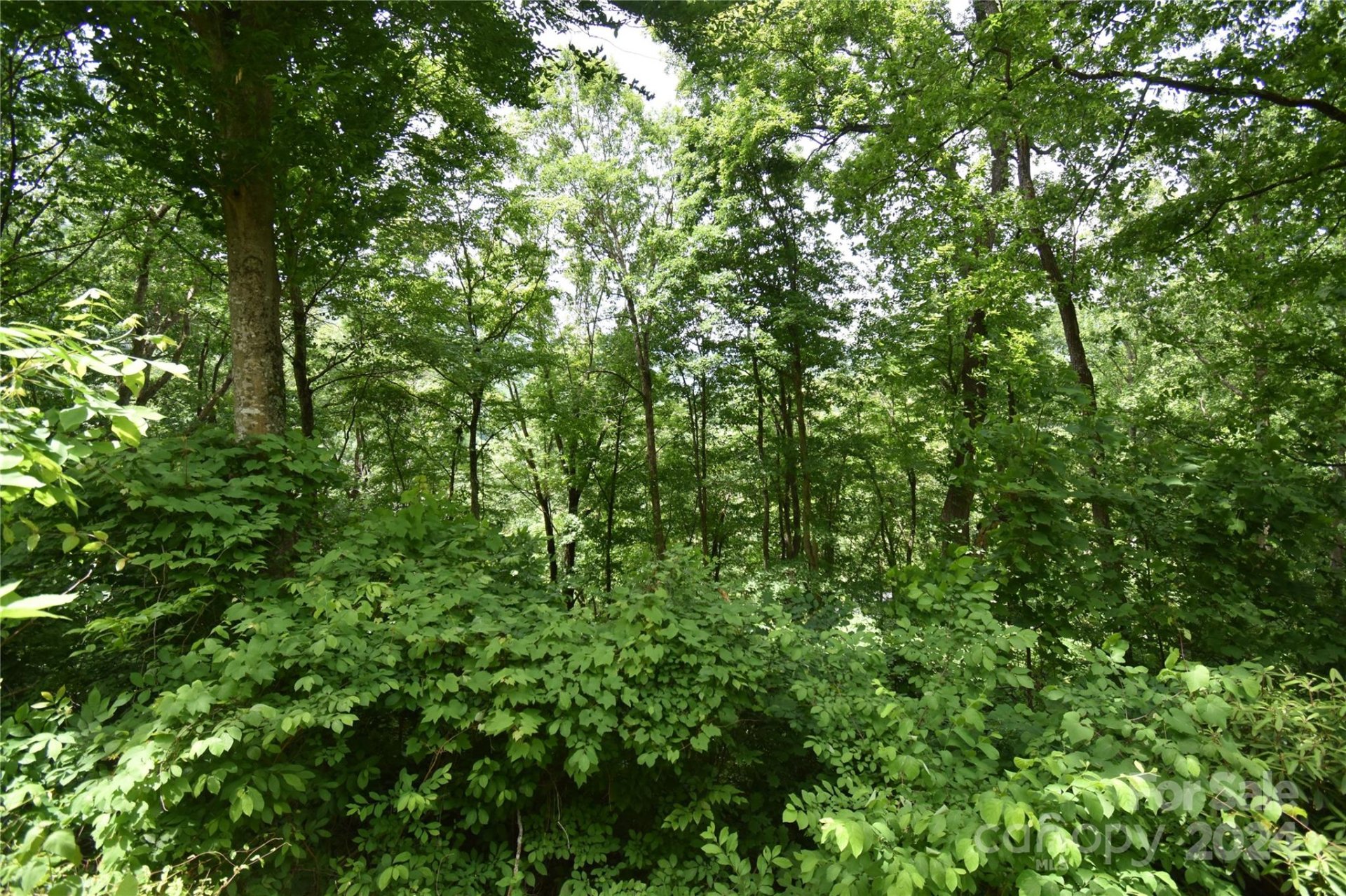 Property image 2 at Lots 105 106 Cicada Drive, Maggie Valley, NC 28751