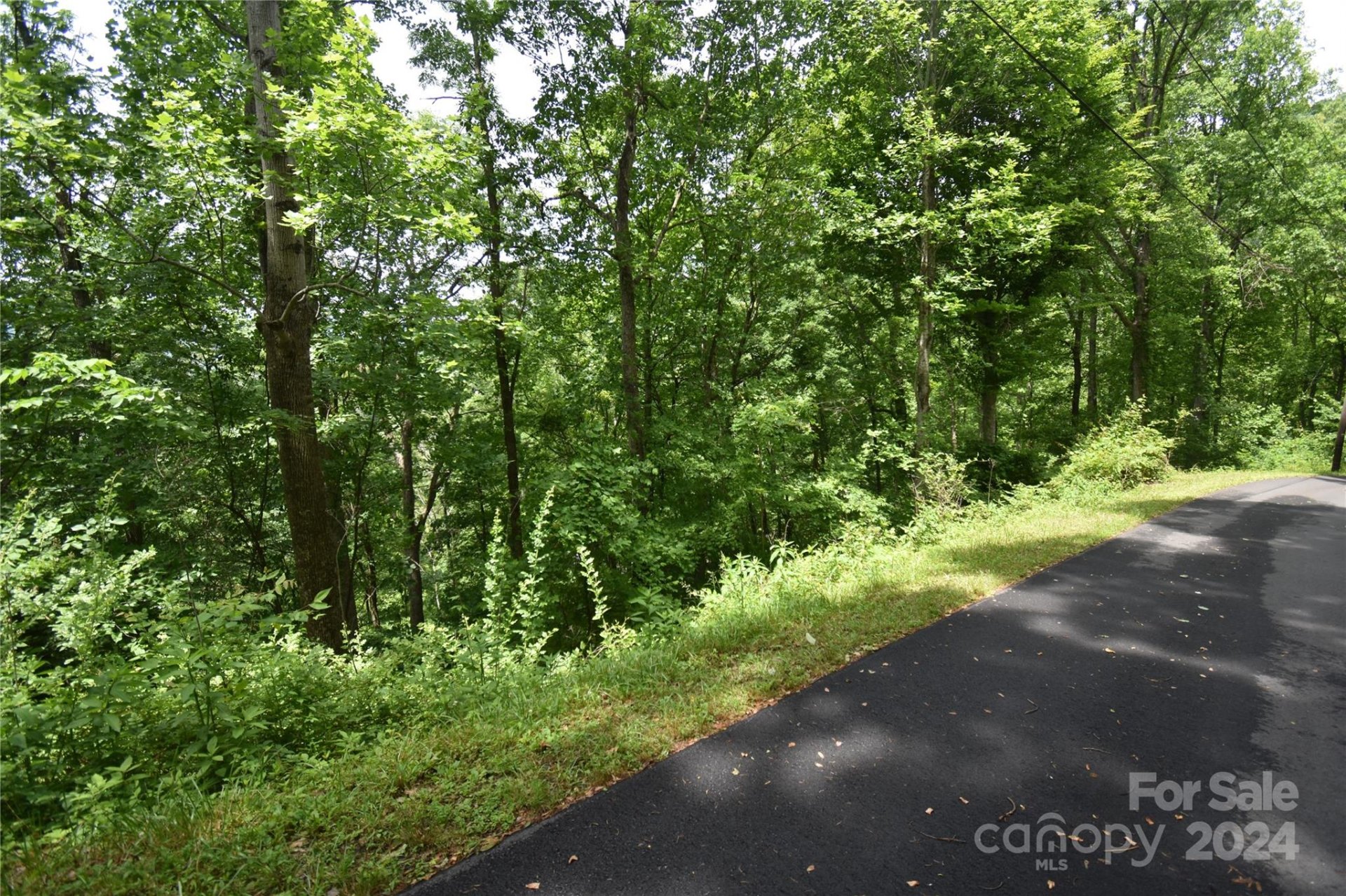 Property image 3 at Lots 105 106 Cicada Drive, Maggie Valley, NC 28751