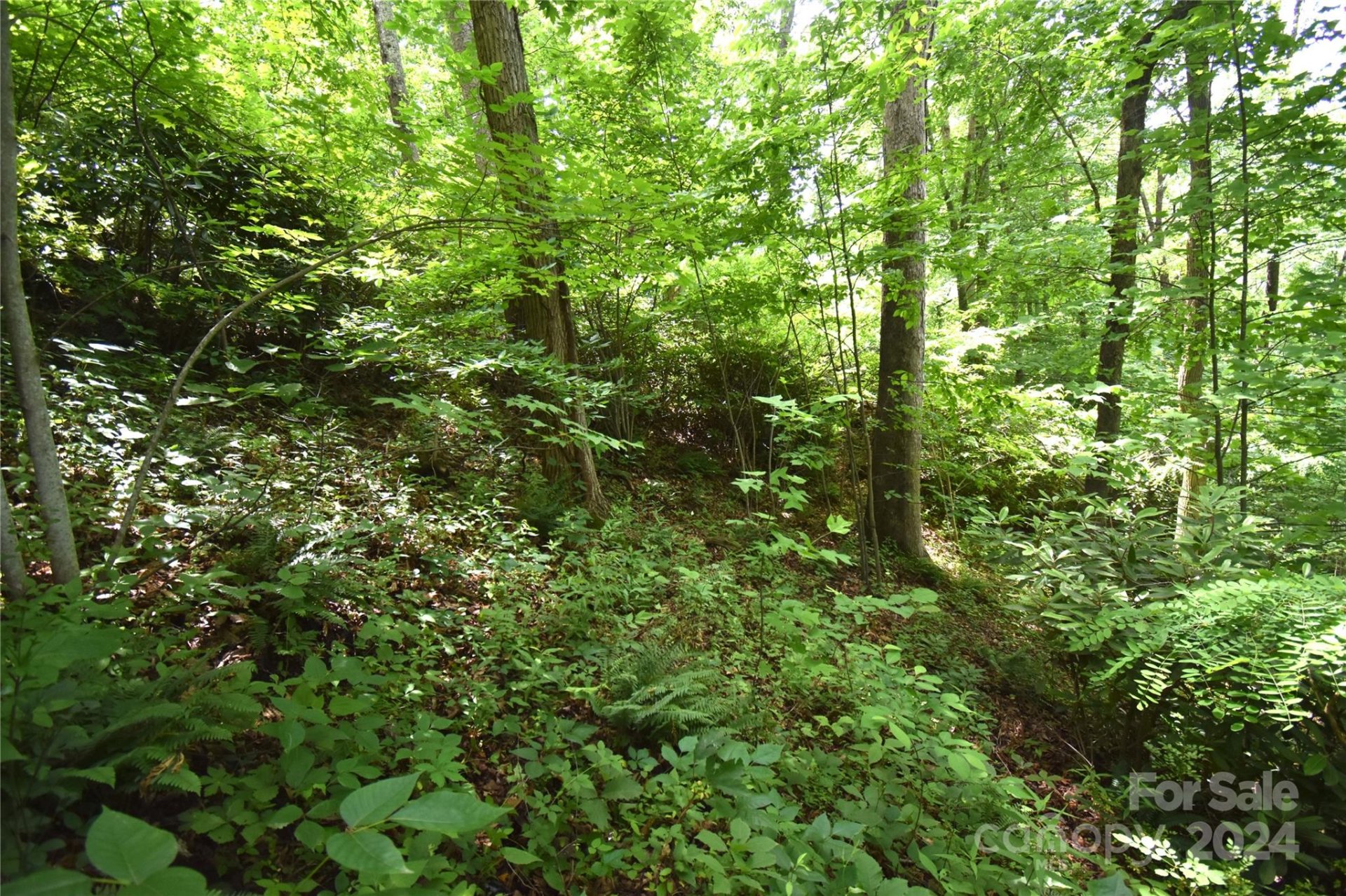 Property image 5 at Lots 105 106 Cicada Drive, Maggie Valley, NC 28751