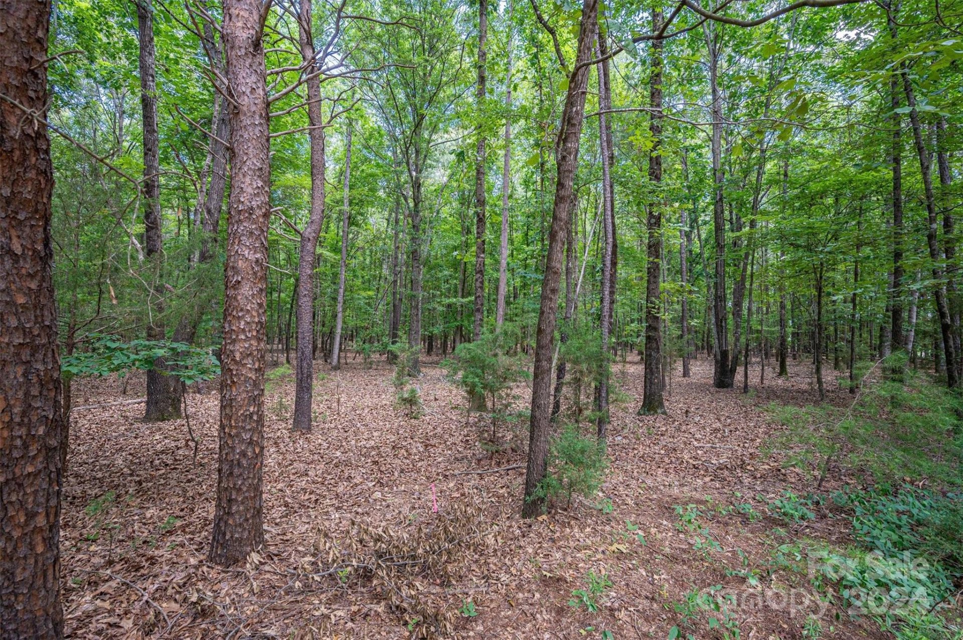 Property image 1 at 9532 Little Kern Lane, Charlotte, NC 28278