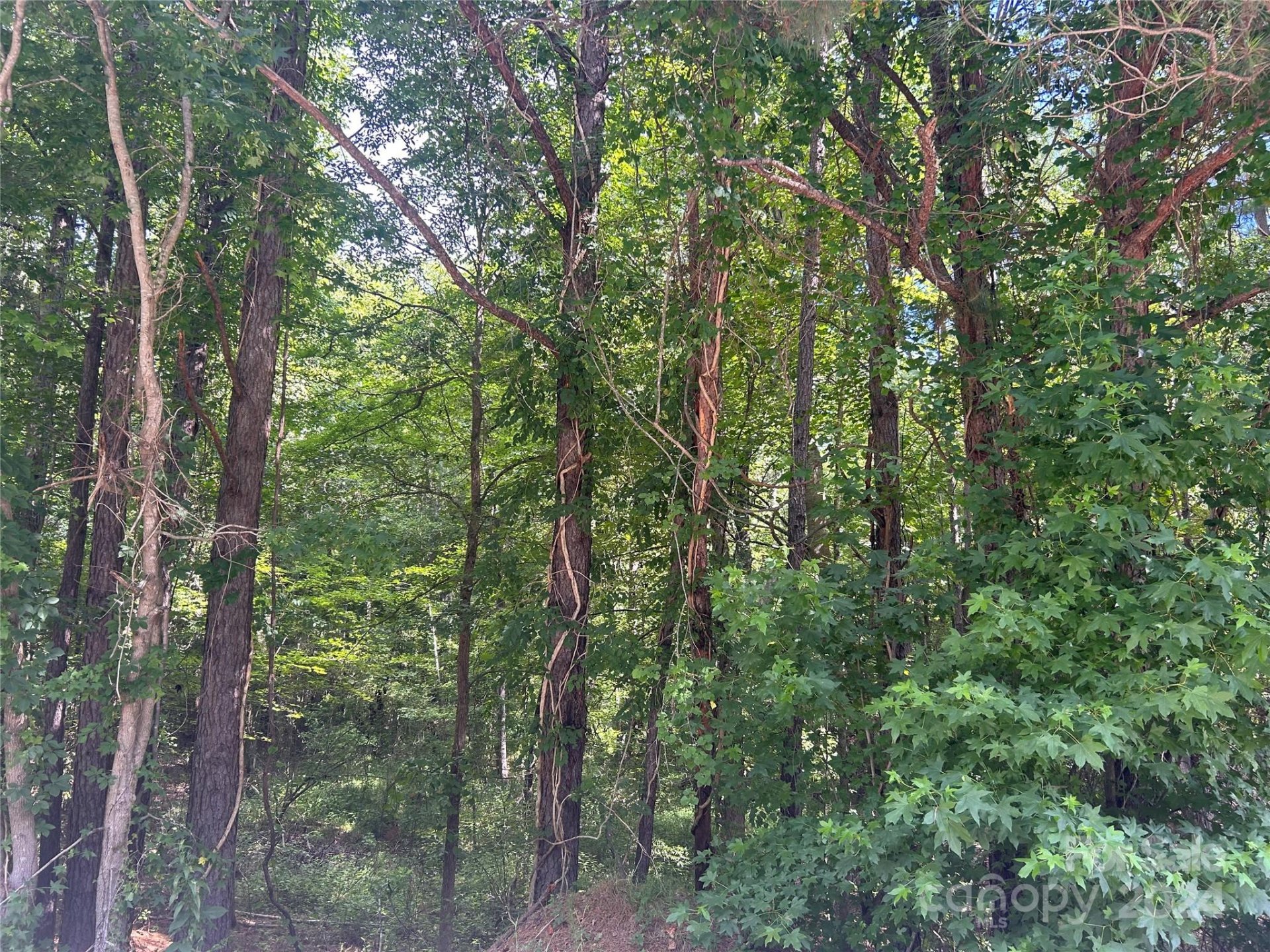 Property image 3 at 197 Hard Rock Road, Winnsboro, SC 29180
