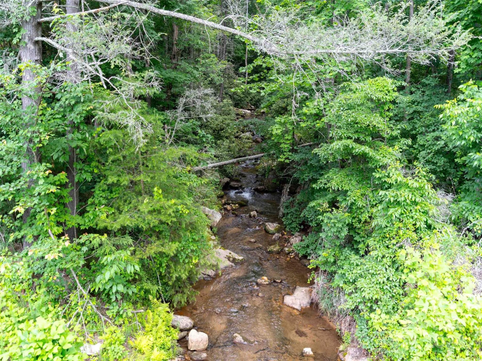 Property image 4 at Lot 61 Deep Gap Farm Road, Mill Spring, NC 28756