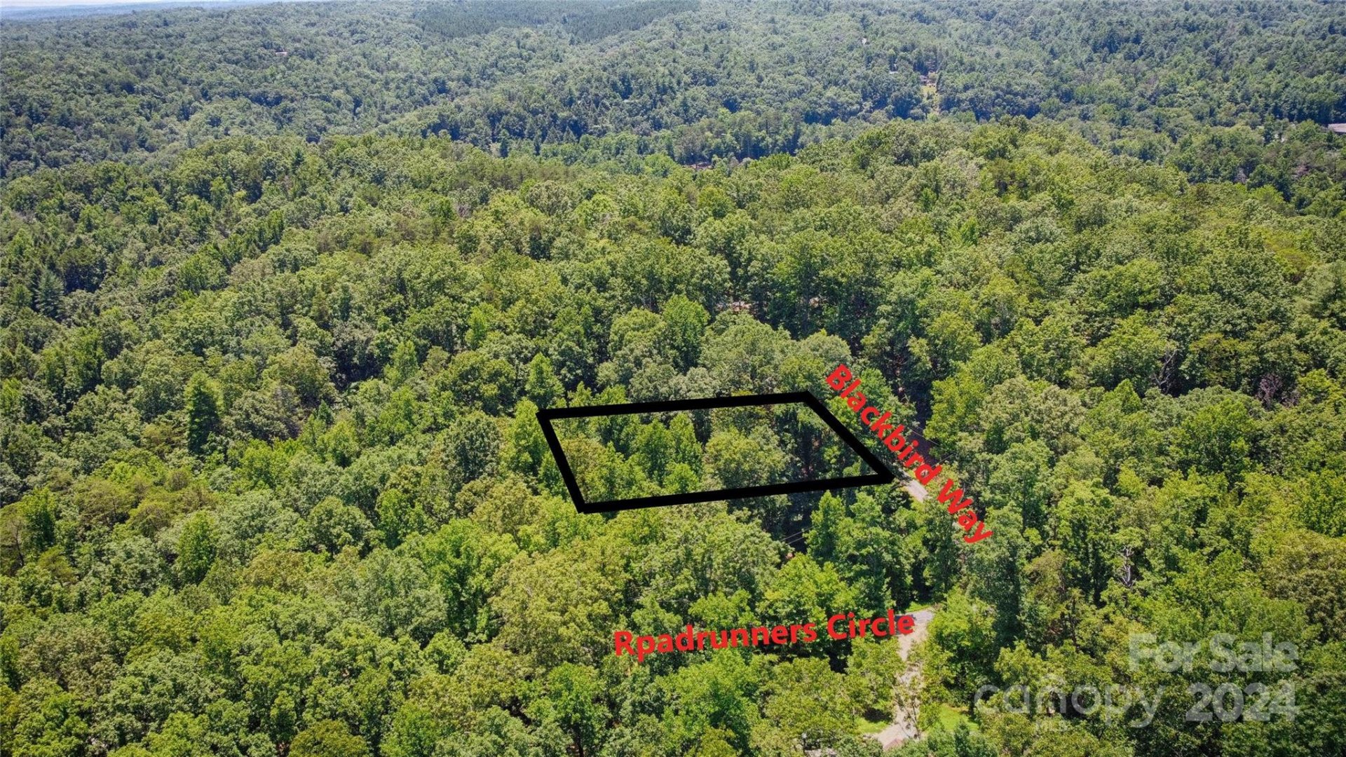 Property image 2 at 0000 Roadrunner Circle, Lake Lure, NC 28746
