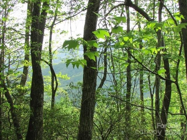 Property image 2 at Tbd Big Ridge Road, Burnsville, NC 28714