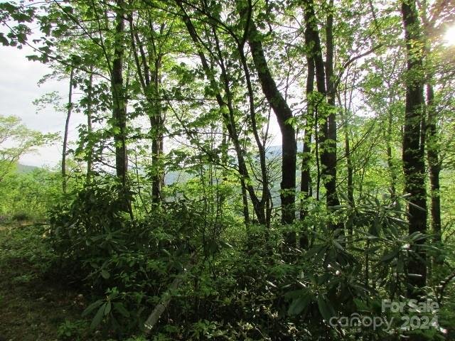 Property image 4 at Tbd Big Ridge Road, Burnsville, NC 28714