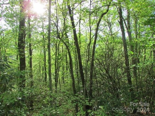Property image 5 at Tbd Big Ridge Road, Burnsville, NC 28714