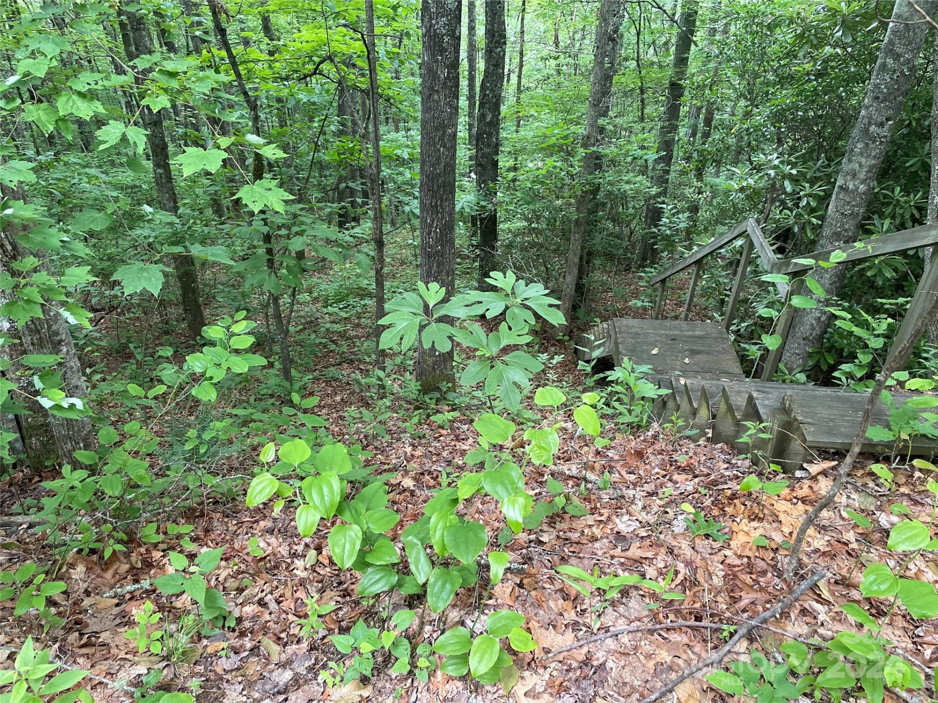Property image 2 at Lt 279 Cabin Flats Road, Balsam, NC 28707