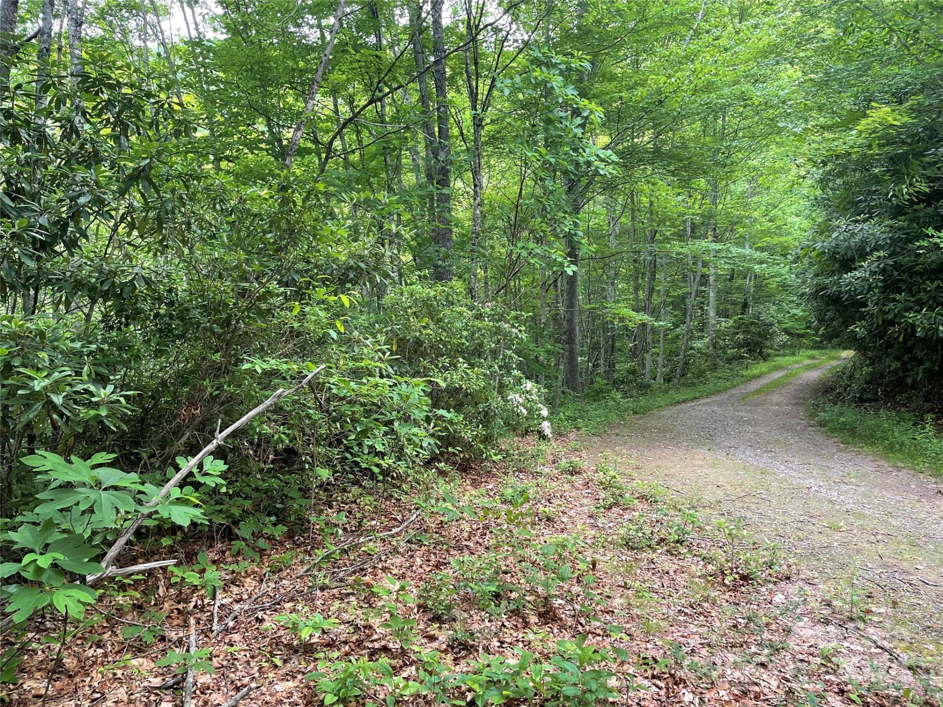 Property image 3 at Lt 279 Cabin Flats Road, Balsam, NC 28707