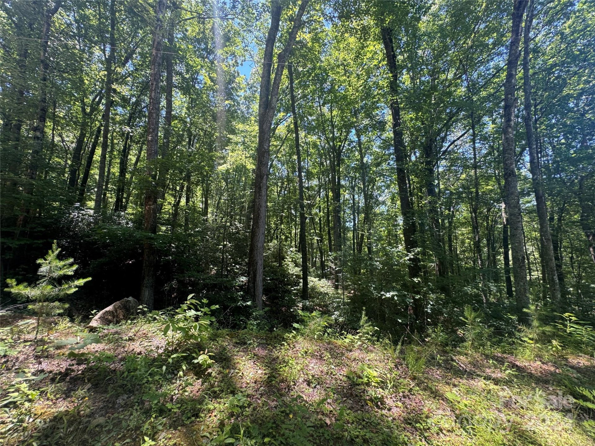 165 N Poplar Drive