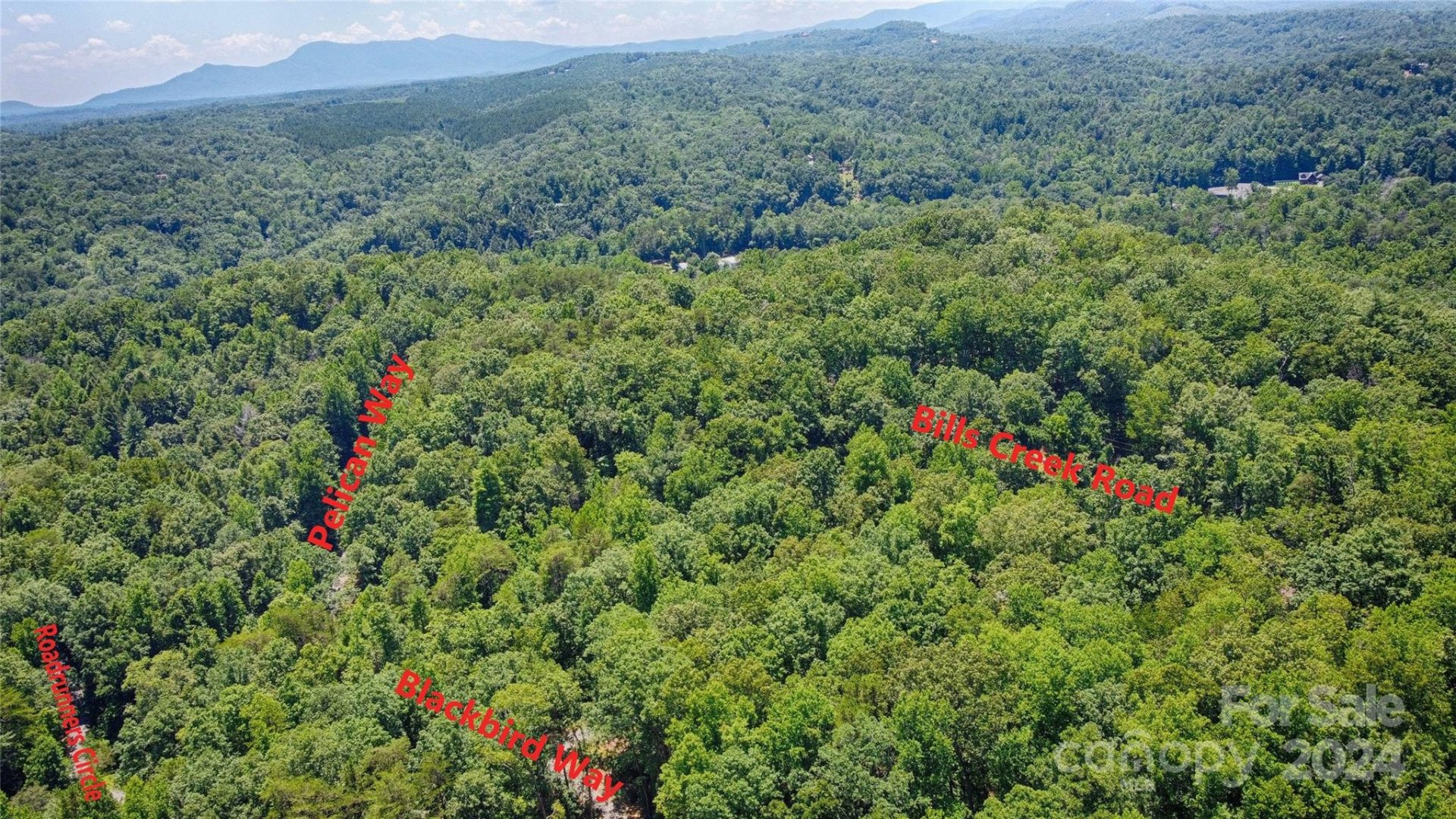 Property image 2 at 0000 Bills Creek Road, Lake Lure, NC 28746