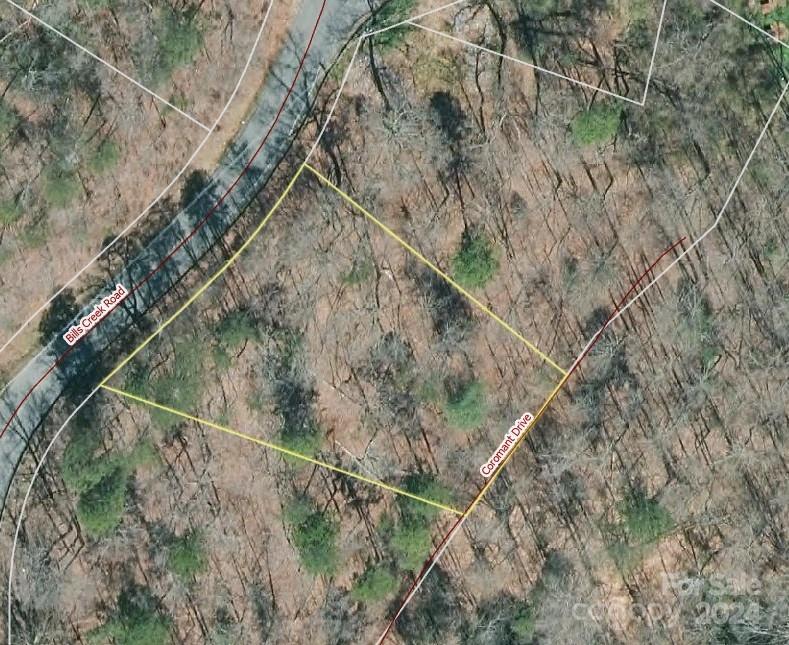Property image 3 at 0000 Bills Creek Road, Lake Lure, NC 28746
