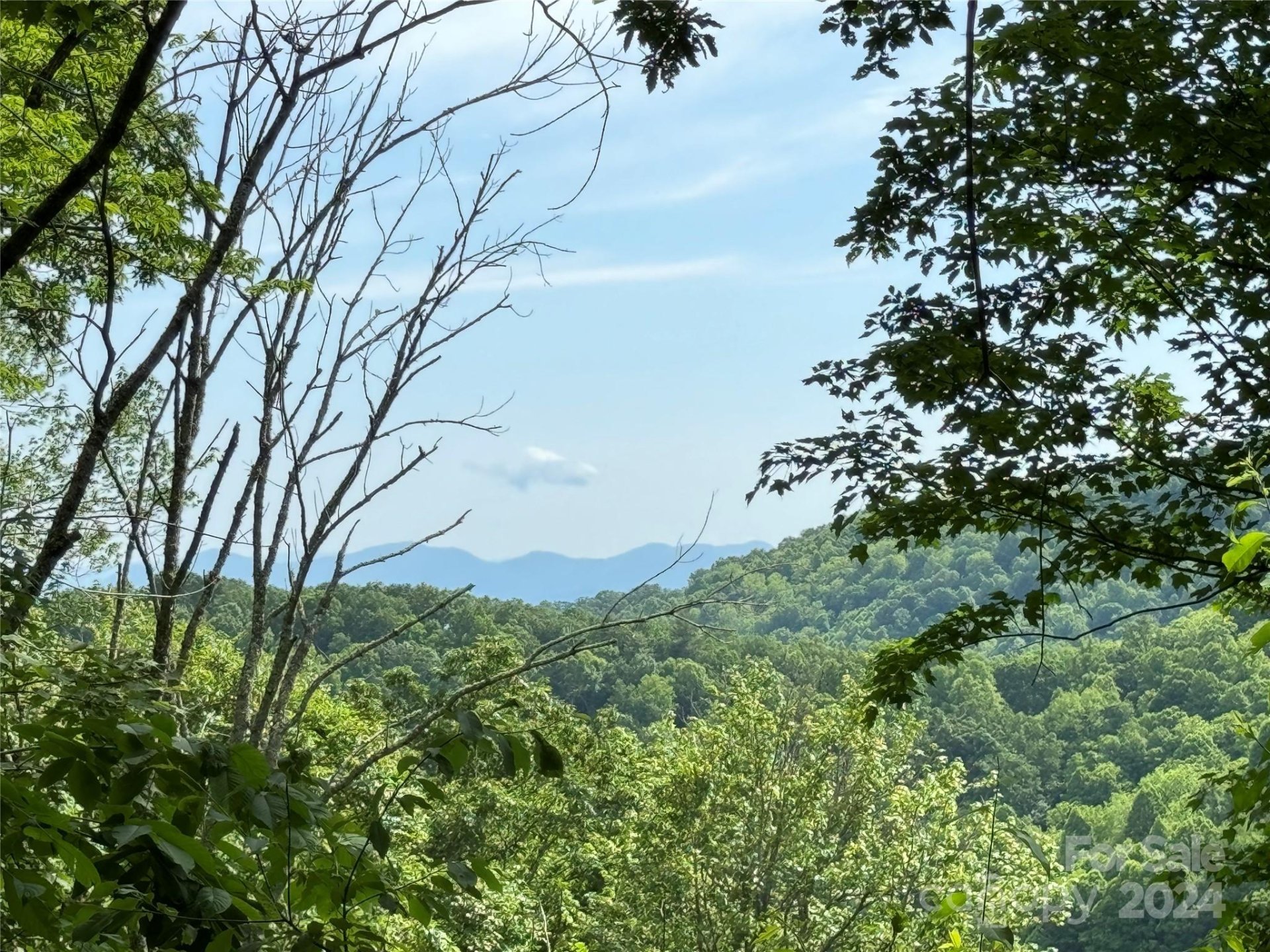 Property image 1 at 0 Rising Sun Road, Mars Hill, NC 28754