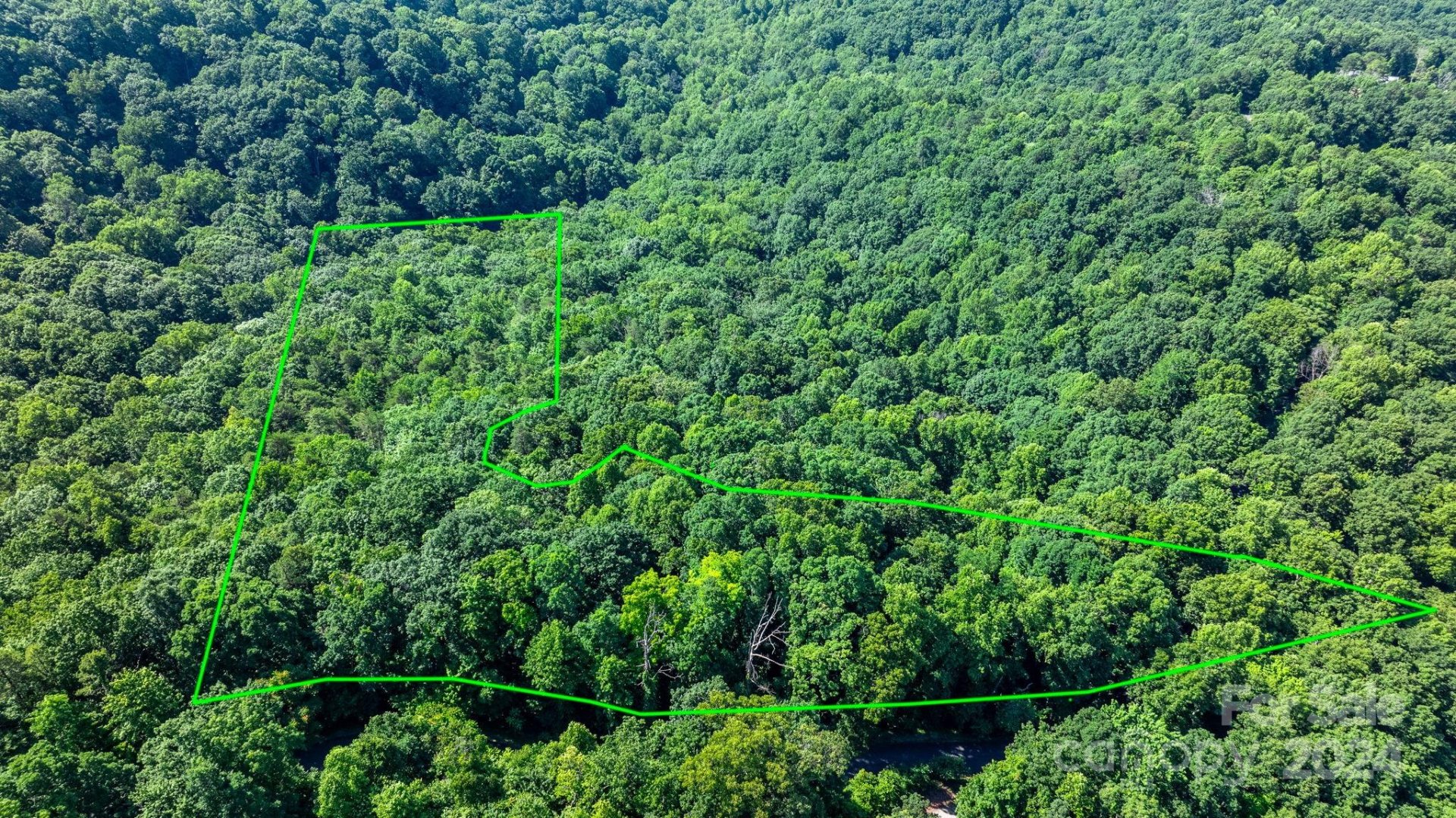 Property image 2 at 0 Grants Mountain Road, Marion, NC 28752
