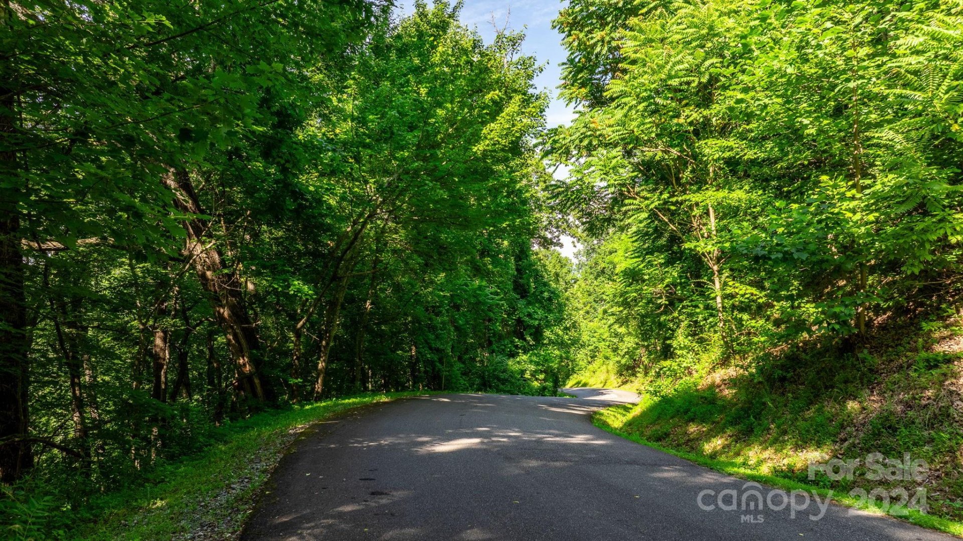 Property image 4 at 0 Grants Mountain Road, Marion, NC 28752