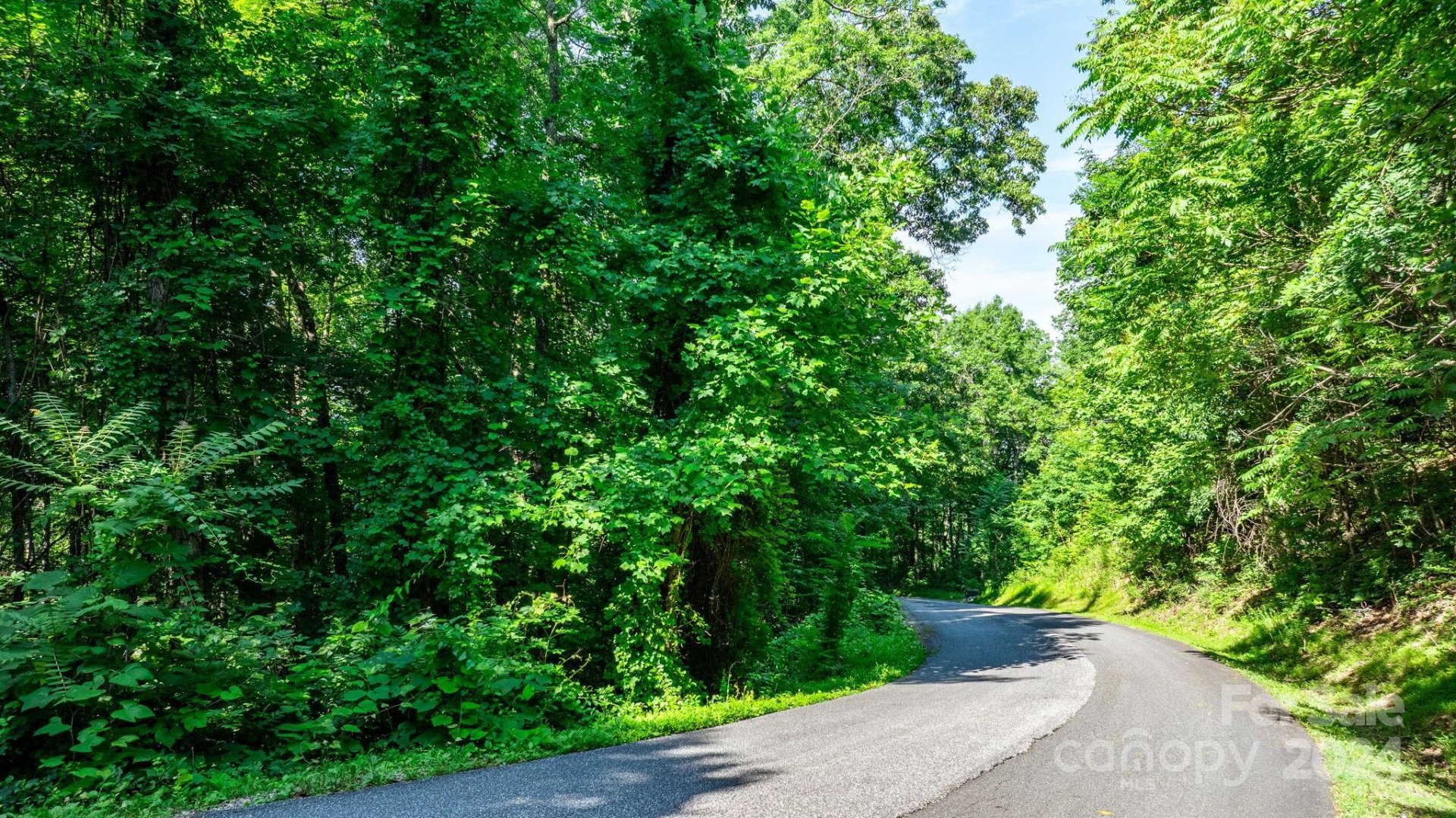 Property image 5 at 0 Grants Mountain Road, Marion, NC 28752