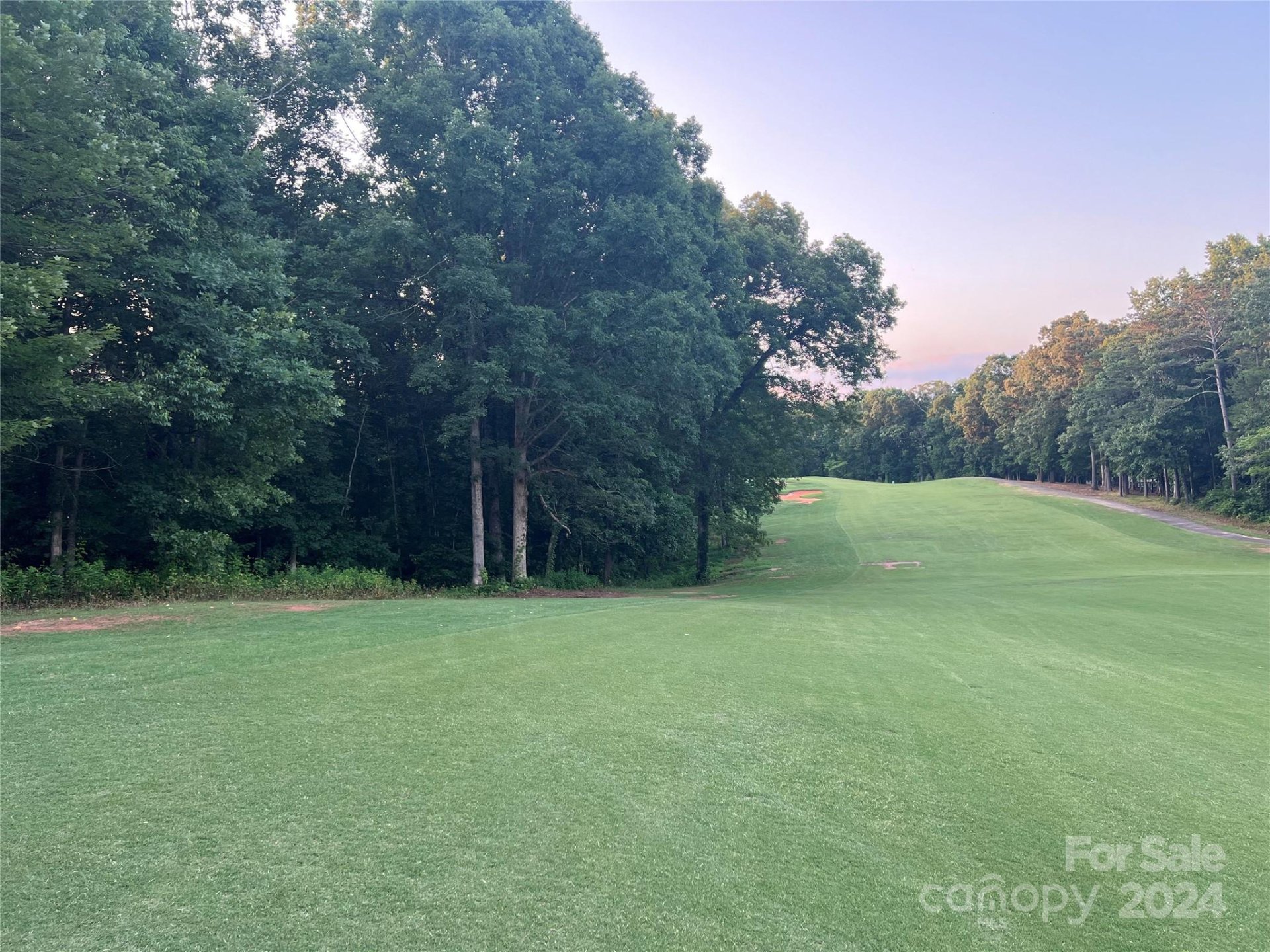 Property image 4 at 000 Moss Drive, Rutherfordton, NC 28139