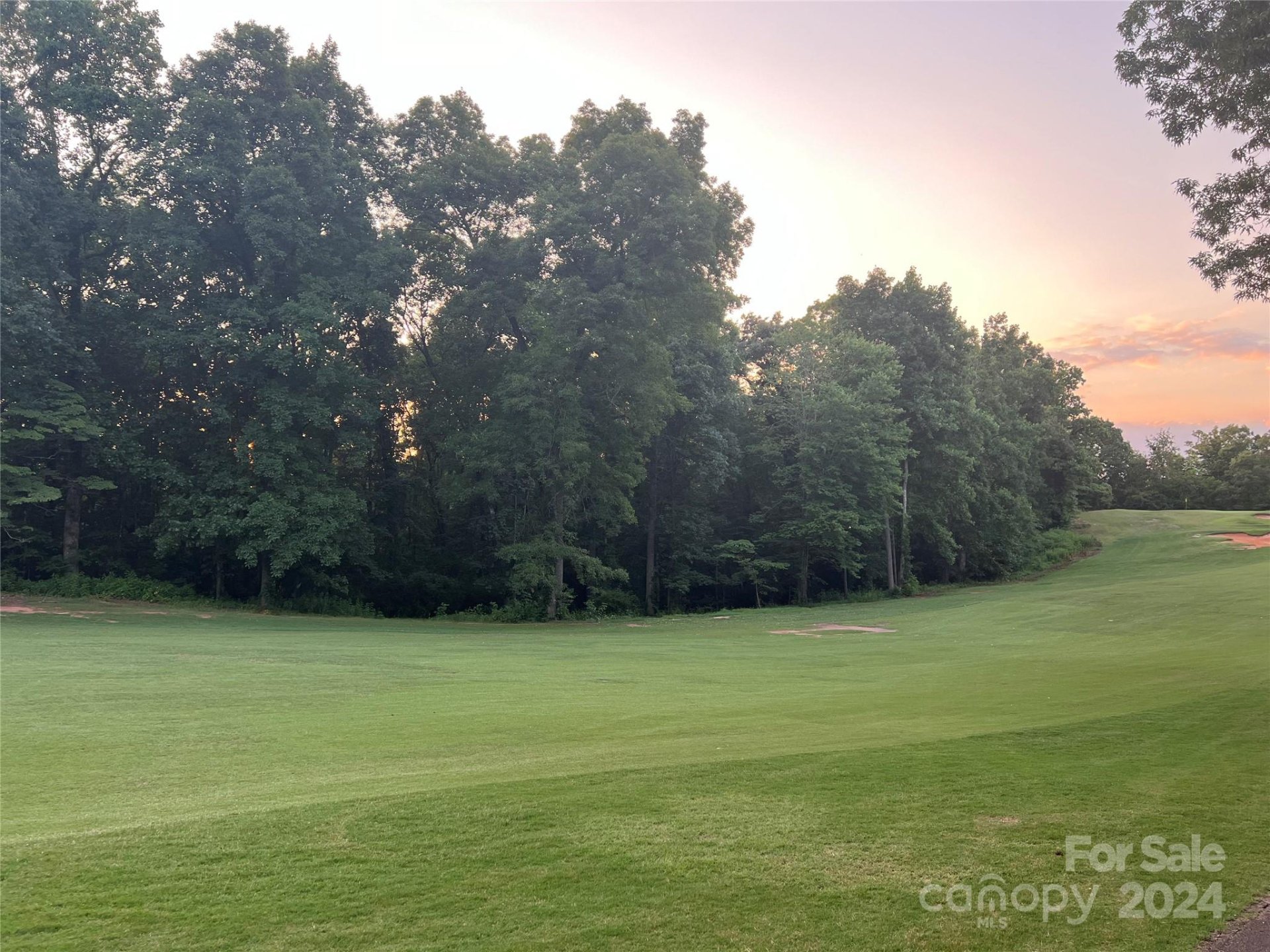 Property image 5 at 000 Moss Drive, Rutherfordton, NC 28139