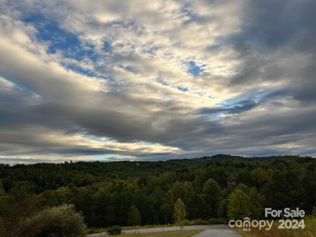 Property image 2 at 00 Stow A Way Drive, Nebo, NC 28761