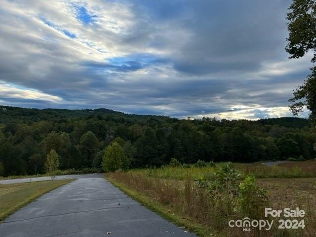 Property image 4 at 00 Stow A Way Drive, Nebo, NC 28761