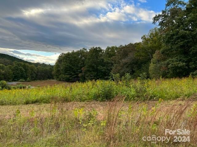 Property image 5 at 00 Stow A Way Drive, Nebo, NC 28761