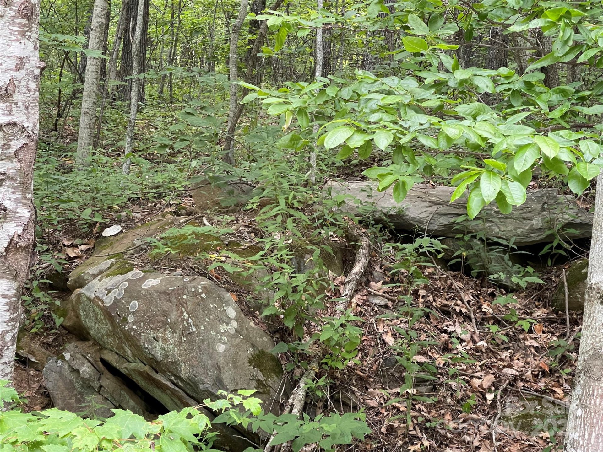 Property image 1 at 0000 Lytle Cove Road, Swannanoa, NC 28778