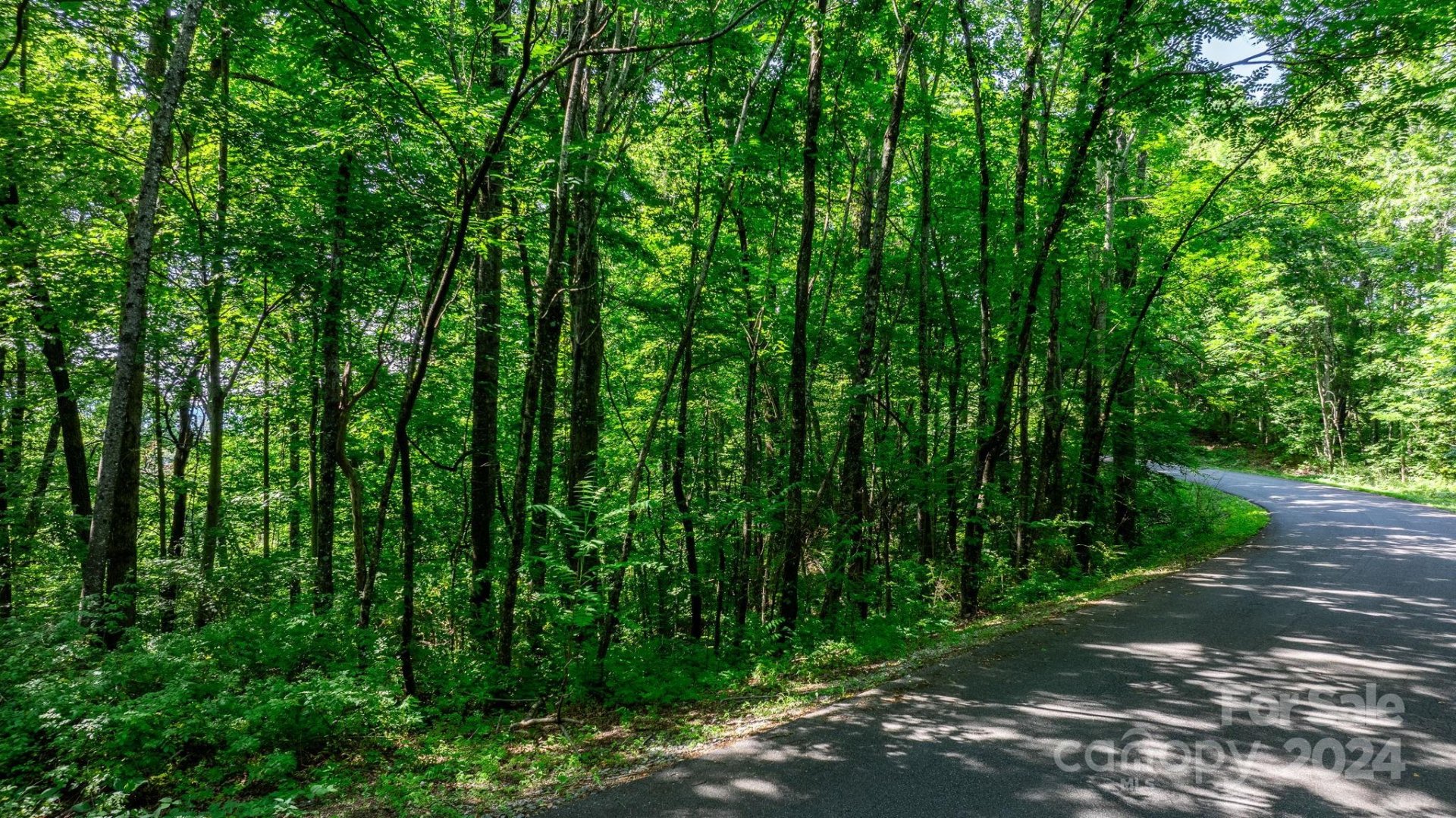 Property image 3 at 0 Grants Mountain Road, Marion, NC 28752