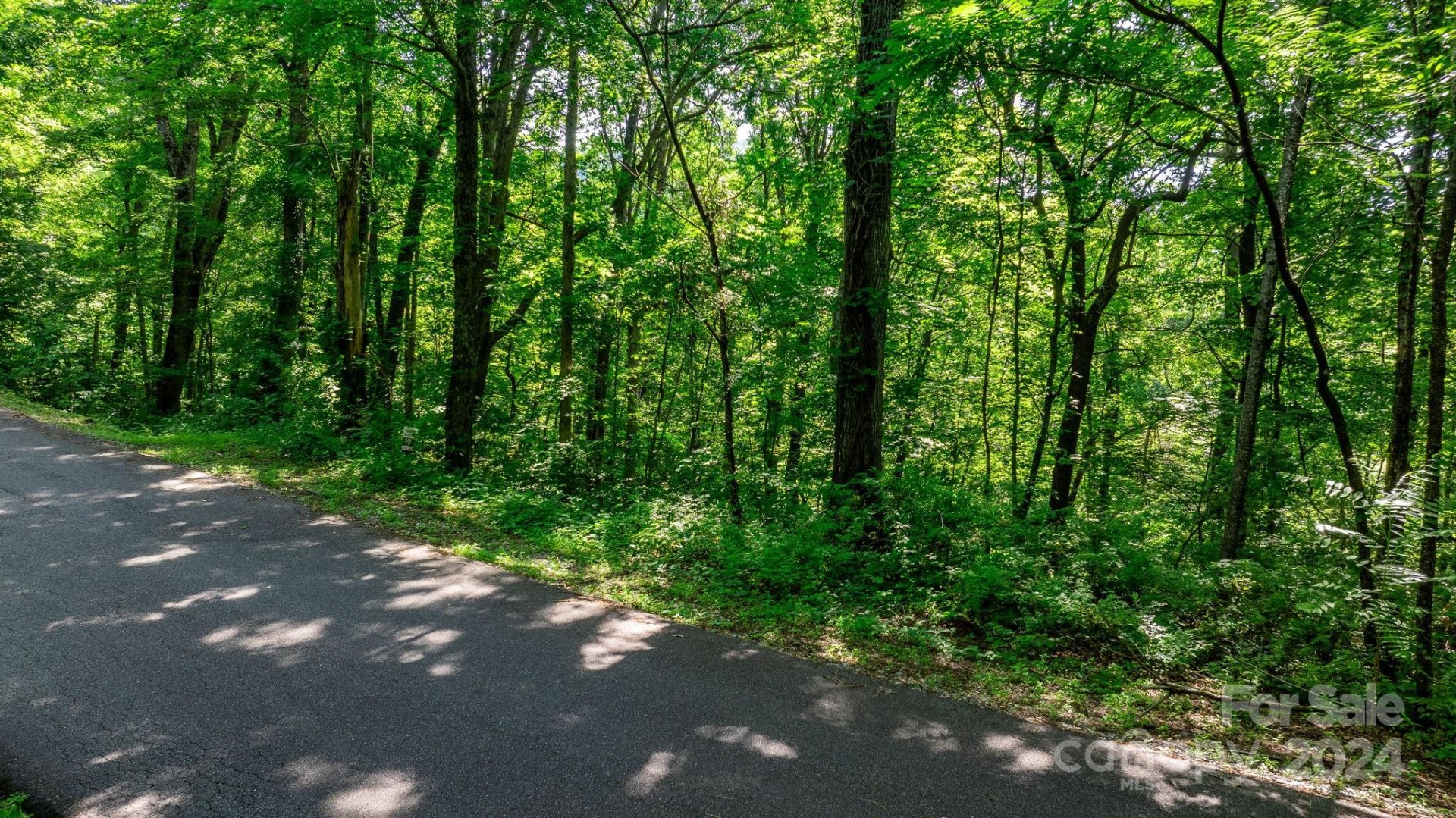 Property image 4 at 0 Grants Mountain Road, Marion, NC 28752