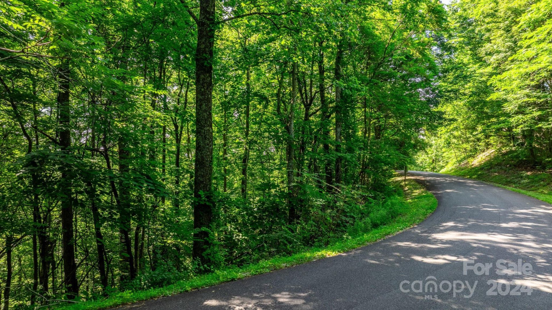 Property image 5 at 0 Grants Mountain Road, Marion, NC 28752