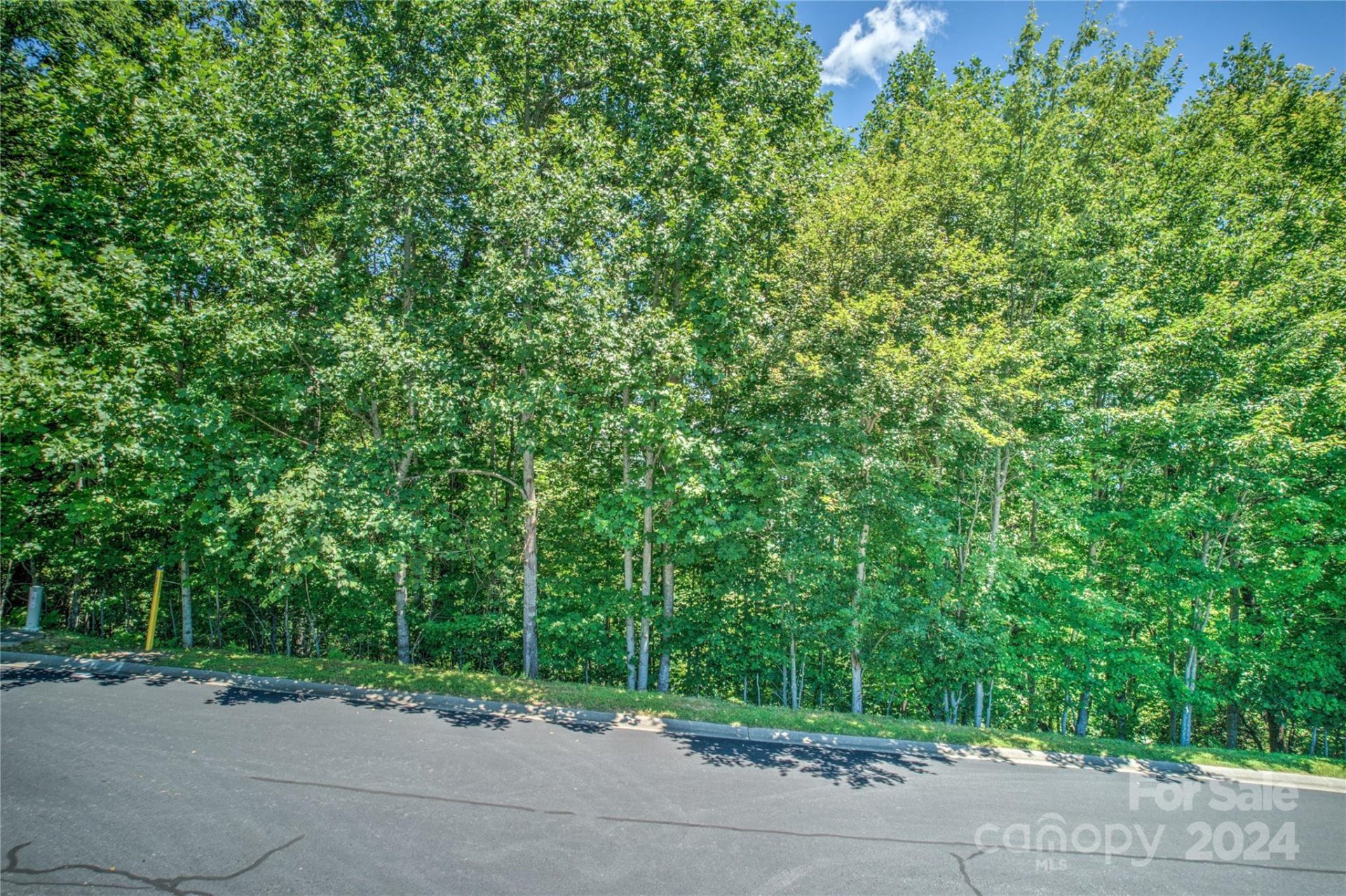 Property image 5 at 1018 Mills River Way, Horse Shoe, NC 28742