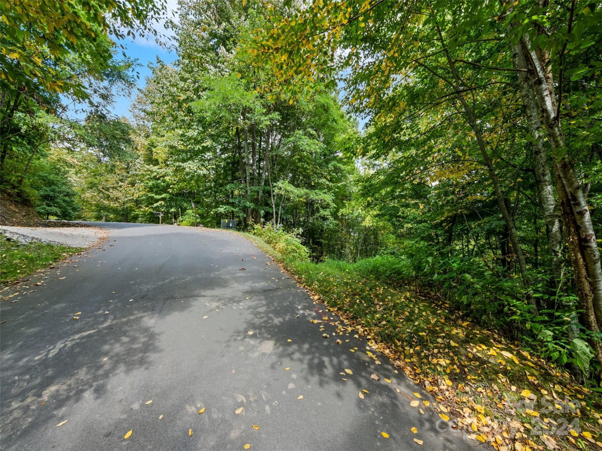 Property image 2 at Lot C25 Asgi Trail, Maggie Valley, NC 28751