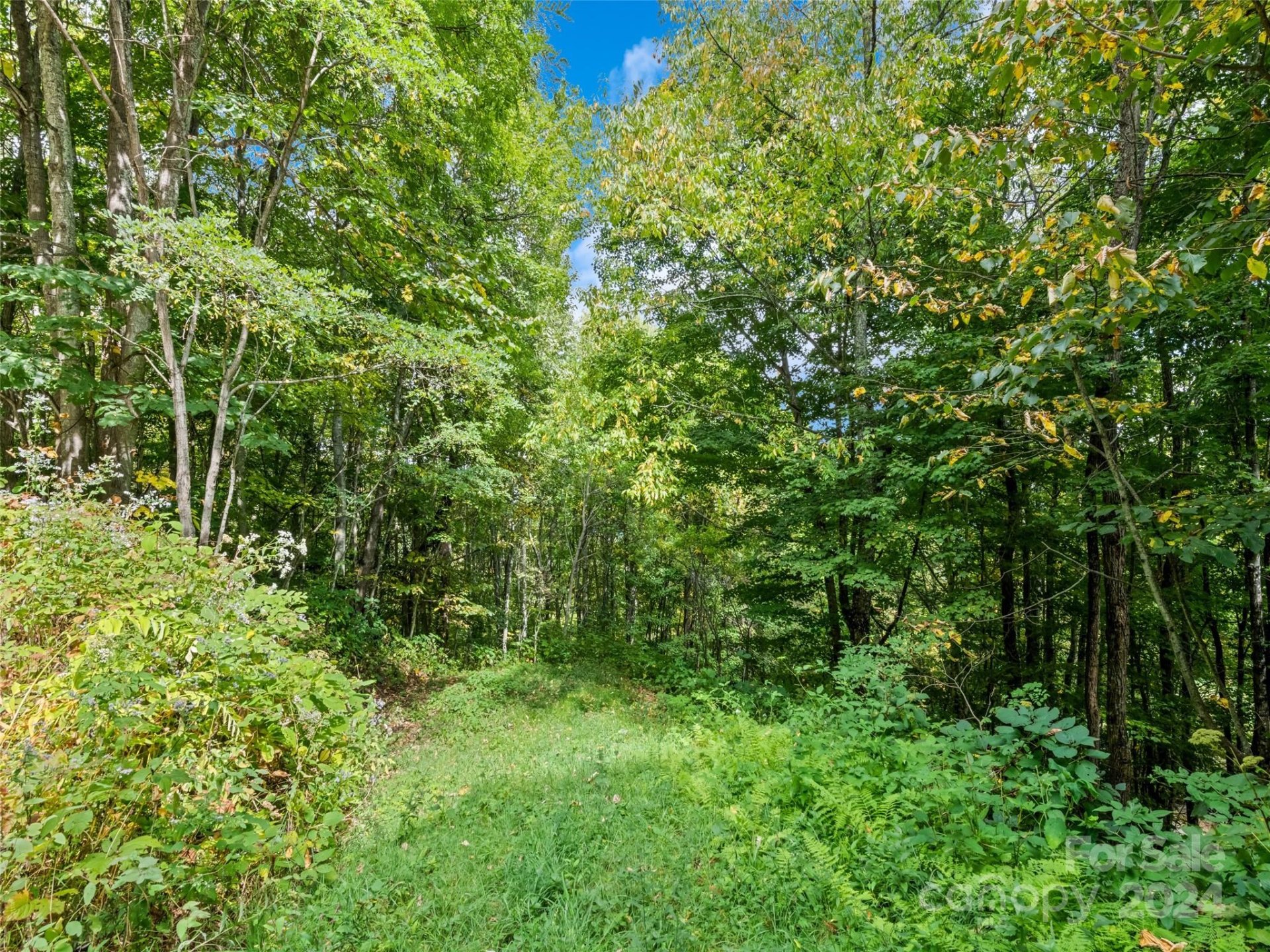 Property image 3 at Lot C25 Asgi Trail, Maggie Valley, NC 28751