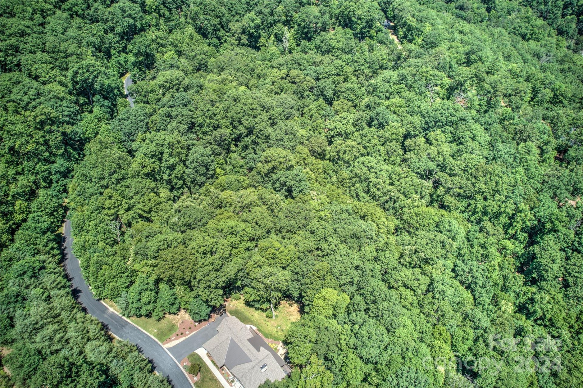 567 Shining Rock Path