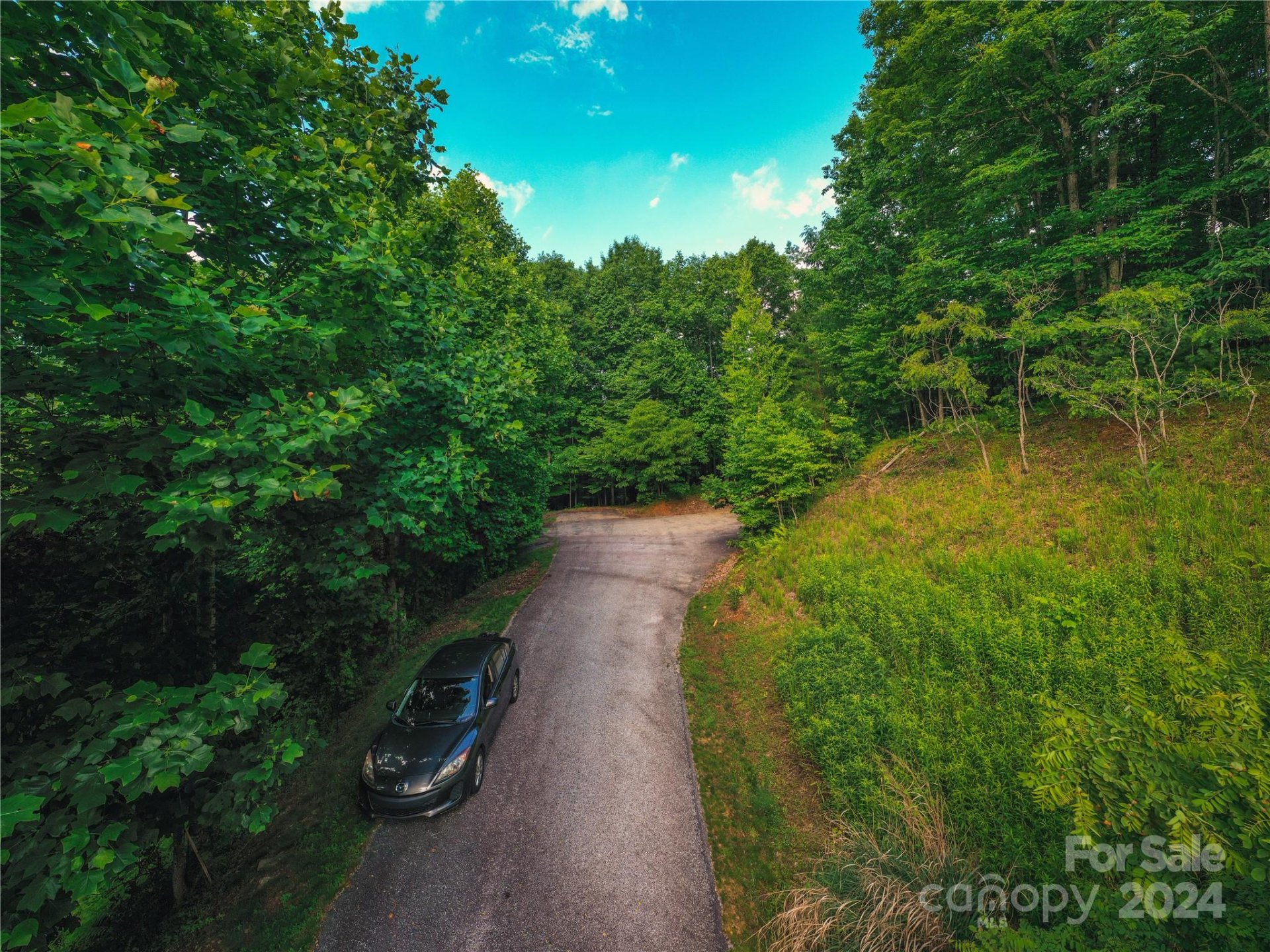 Property image 2 at 240 Smokemont Drive, Arden, NC 28704