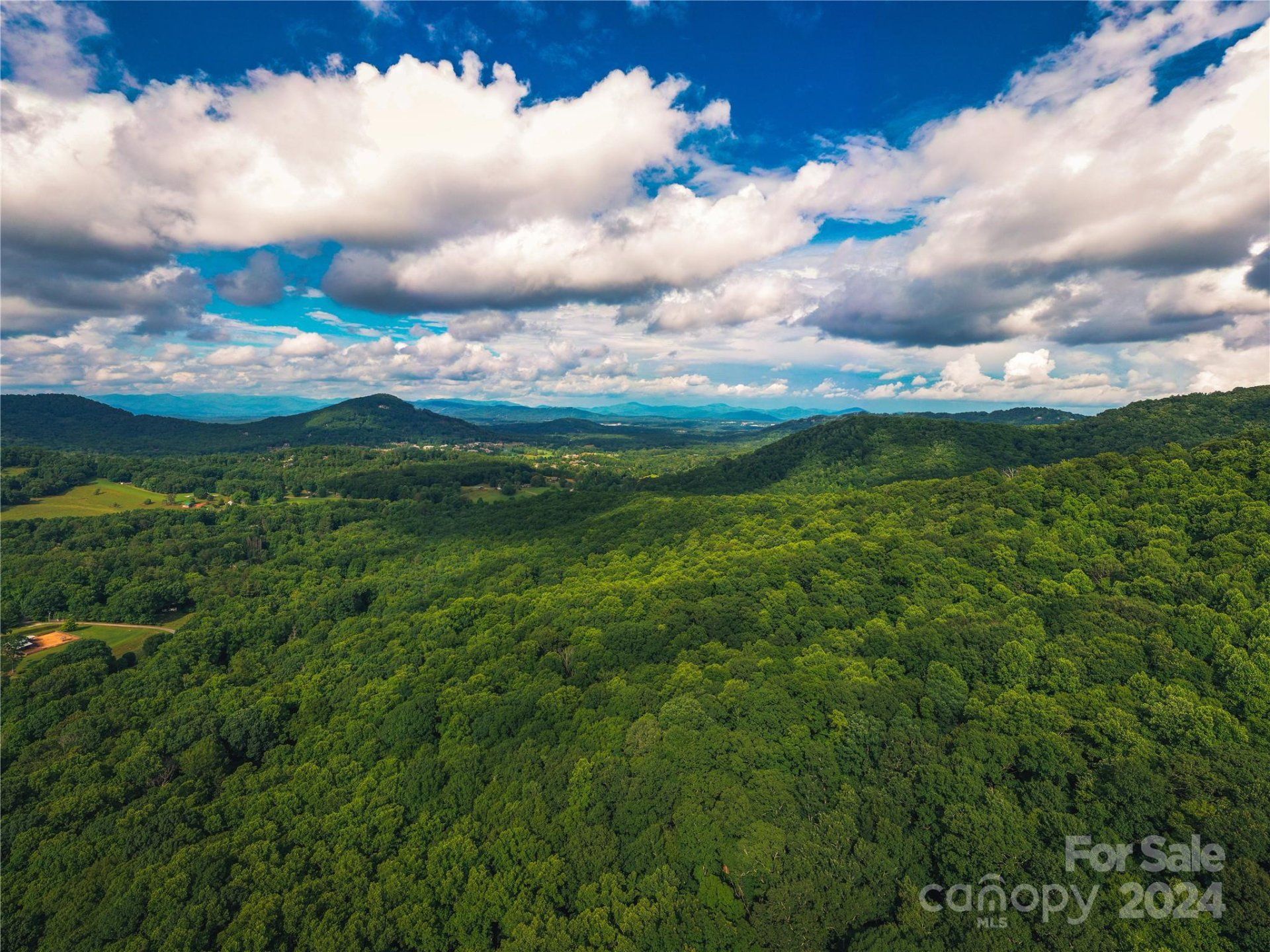 Property image 4 at 240 Smokemont Drive, Arden, NC 28704