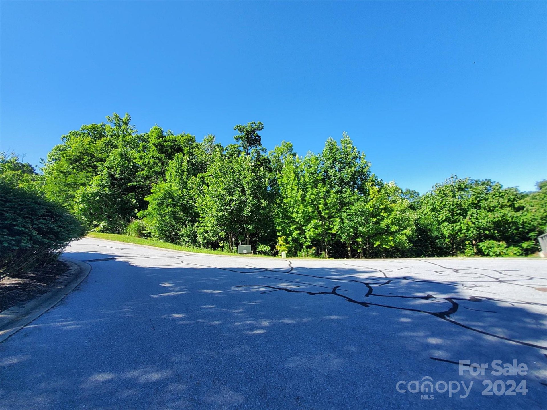 Property image 3 at 101 Wood Owl Court, Hendersonville, NC 28791