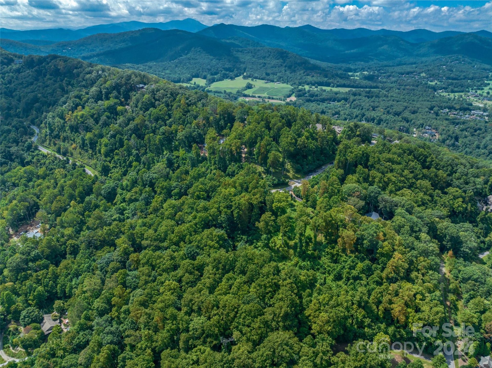 Property image 2 at 54 Split Rock Trail, Arden, NC 28704