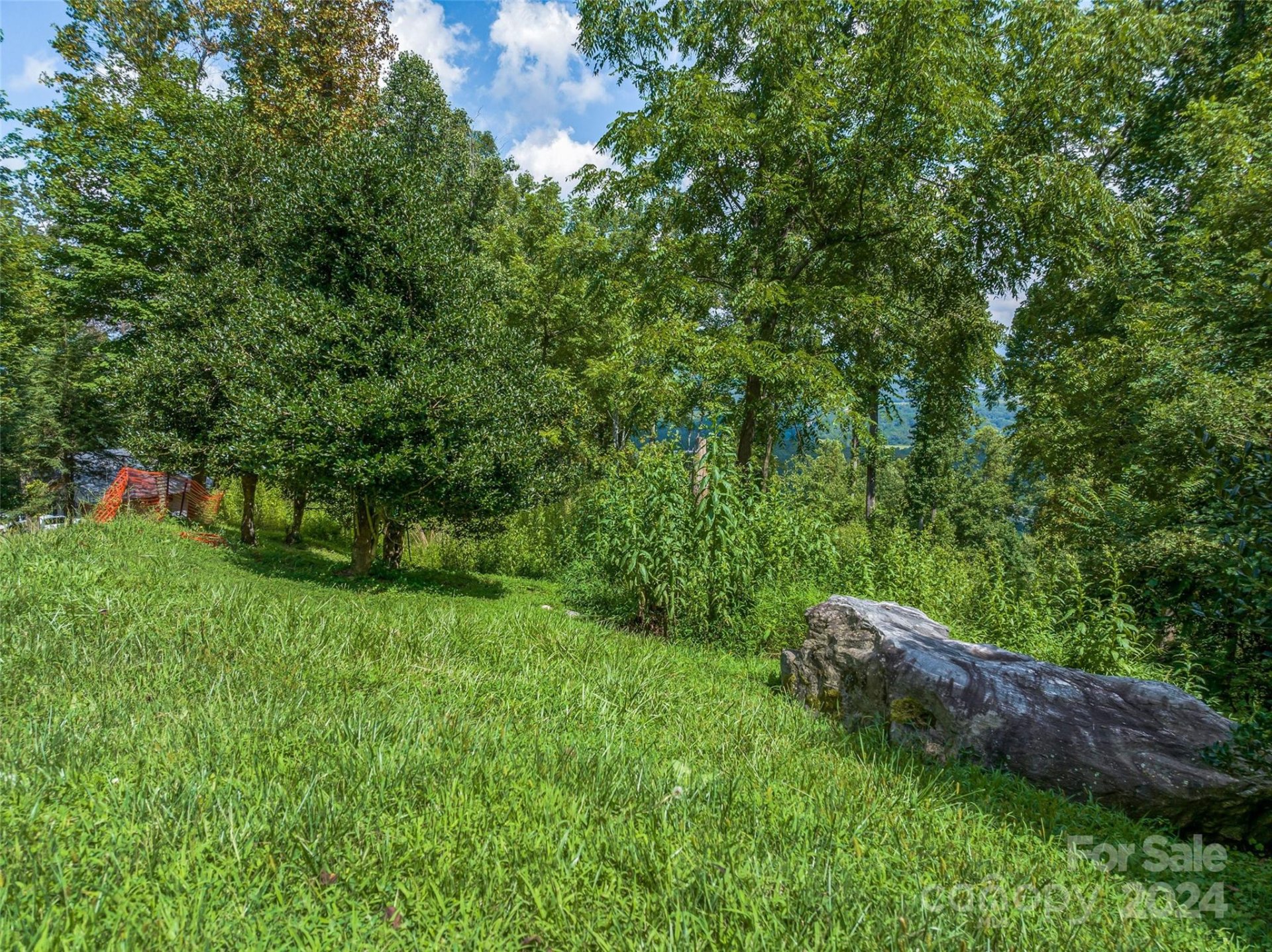 Property image 3 at 54 Split Rock Trail, Arden, NC 28704