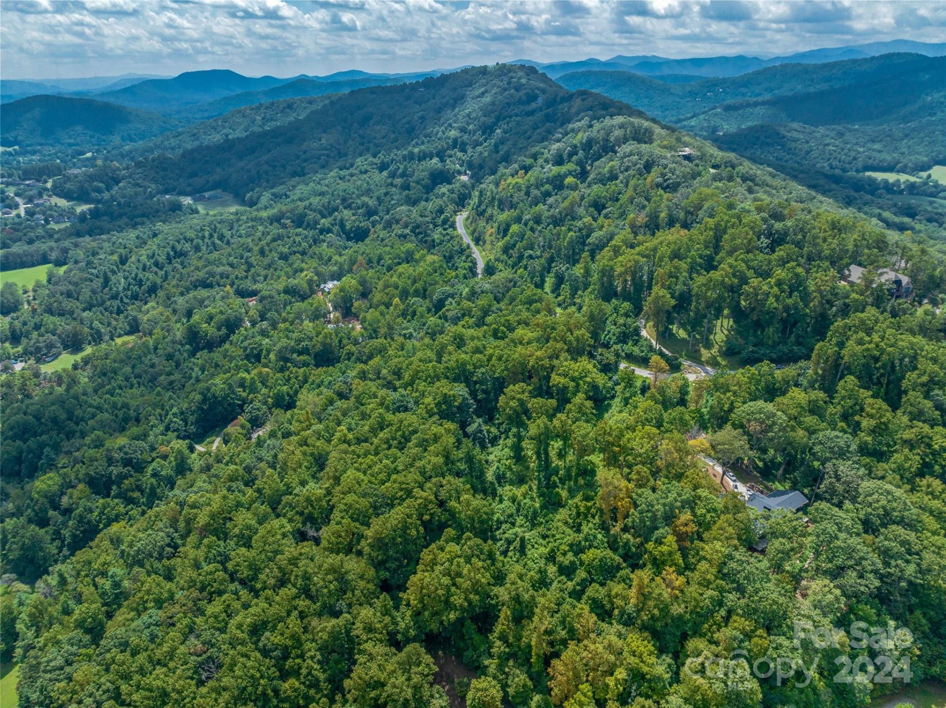 Property image 4 at 54 Split Rock Trail, Arden, NC 28704
