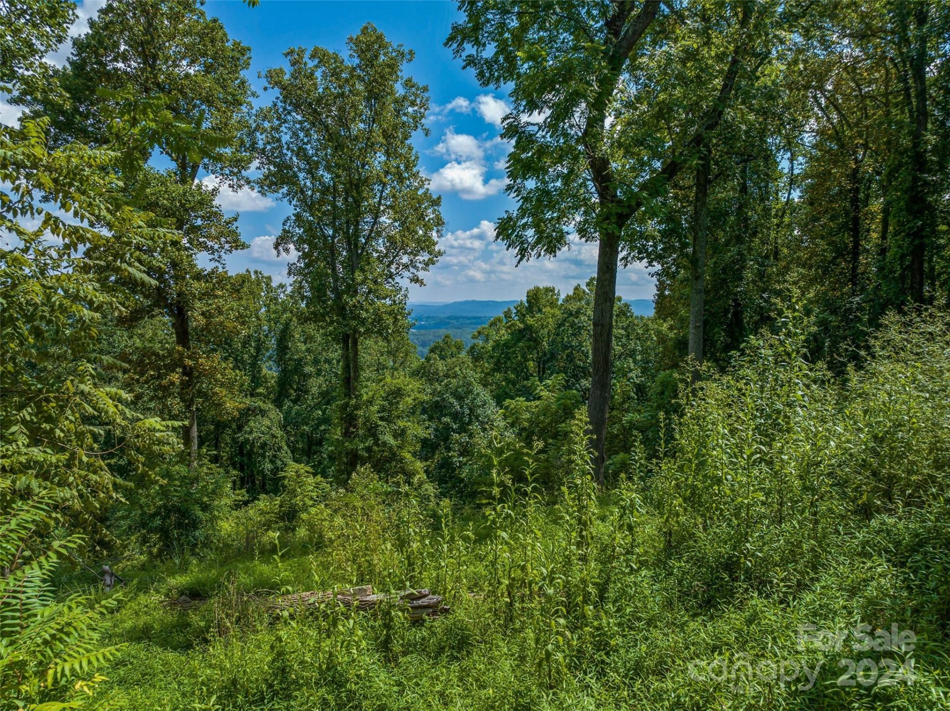 Property image 5 at 54 Split Rock Trail, Arden, NC 28704