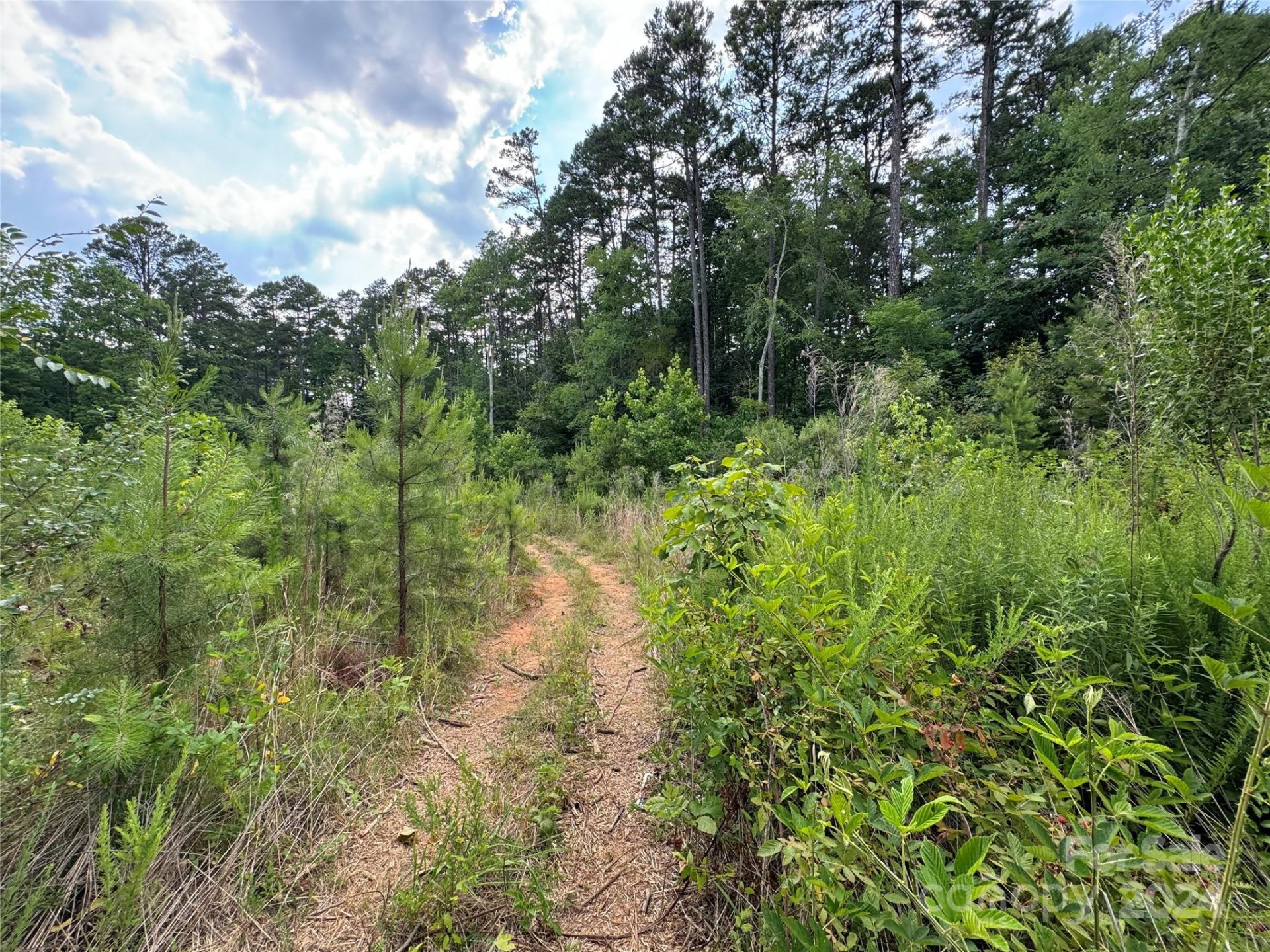 Property image 3 at 145 Wellington Estates Drive, China Grove, NC 28023