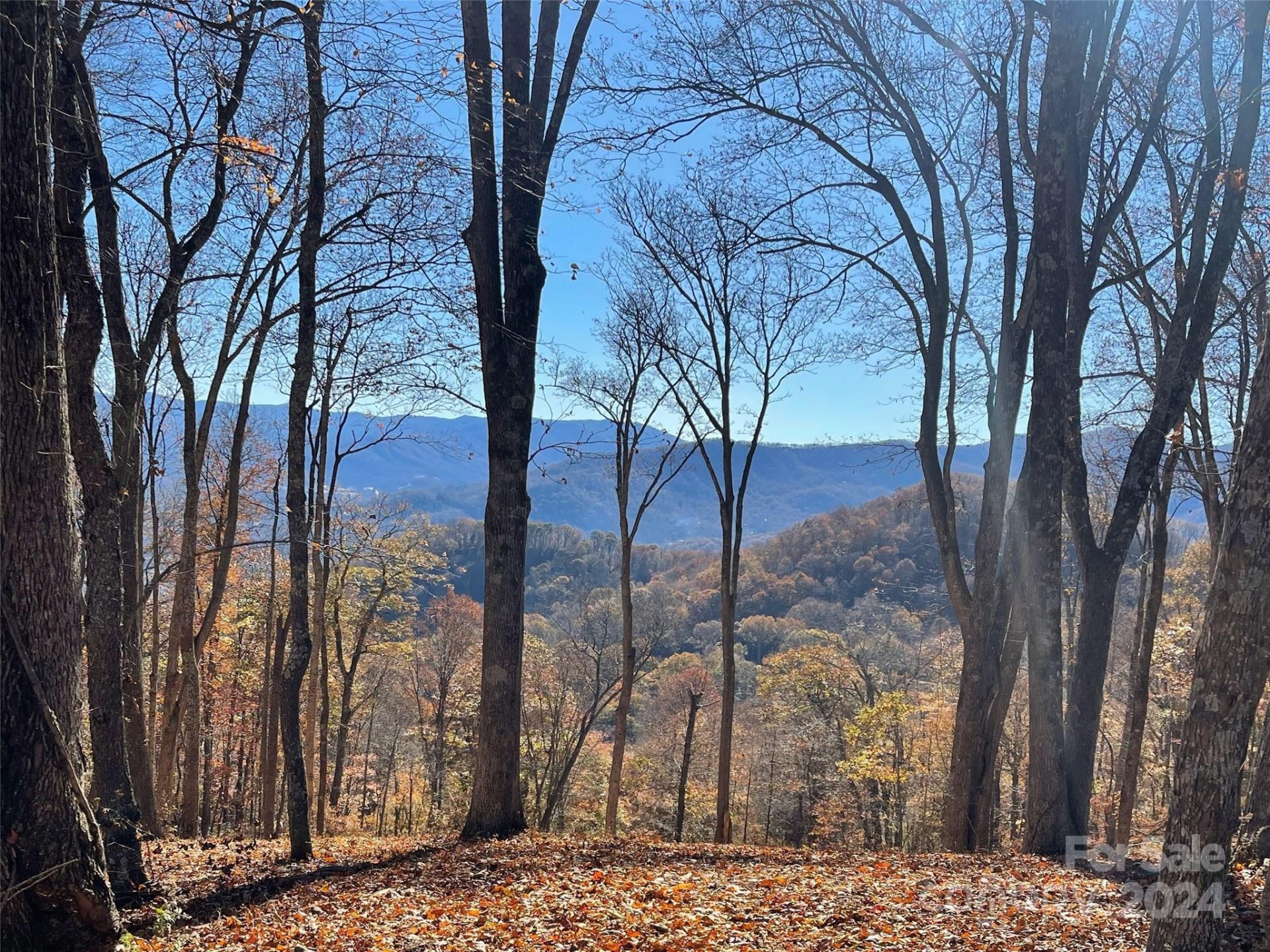 Property image 1 at 53 Sleepy Hollow Drive, Waynesville, NC 28785