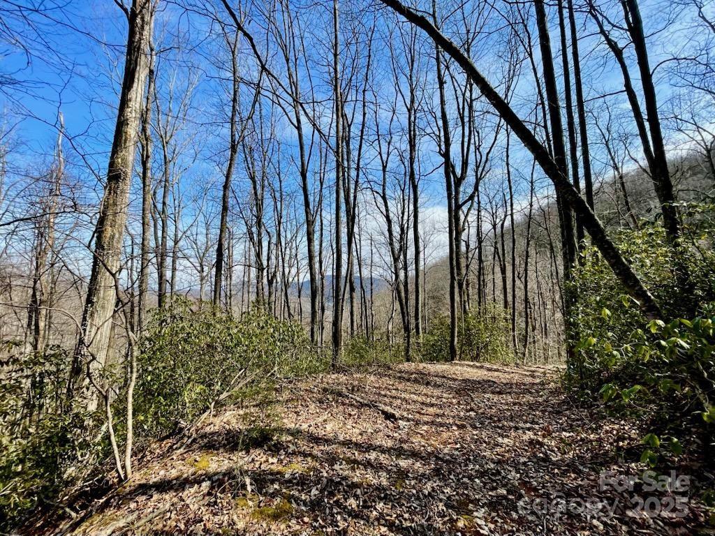 Property image 2 at 10 02 Acres Tbd Rock Garden Road, Black Mountain, NC 28711