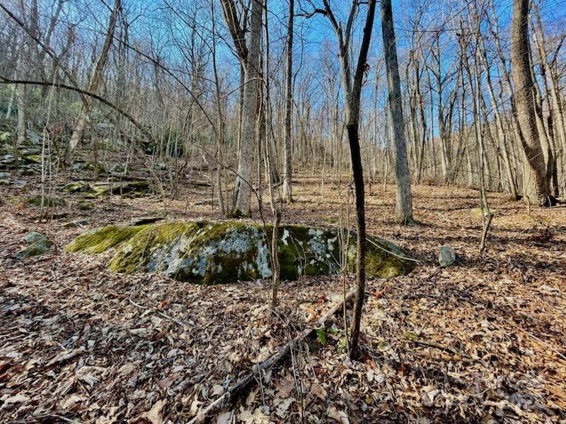 Property image 4 at 10 02 Acres Tbd Rock Garden Road, Black Mountain, NC 28711