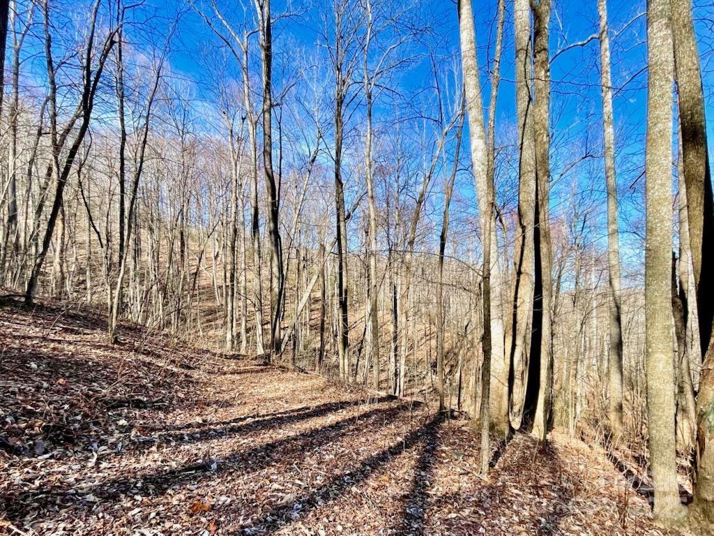 Property image 5 at 10 02 Acres Tbd Rock Garden Road, Black Mountain, NC 28711