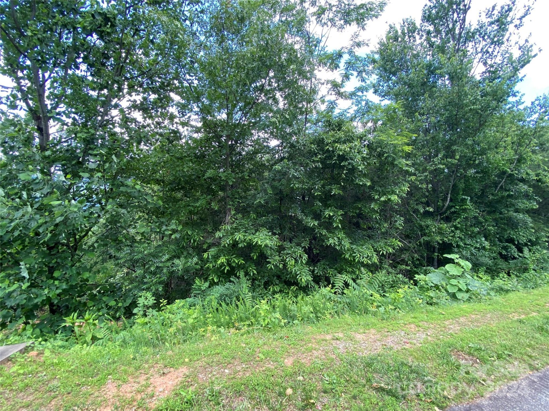 Property image 4 at 0 Golden Ridge Drive, Lake Lure, NC 28746